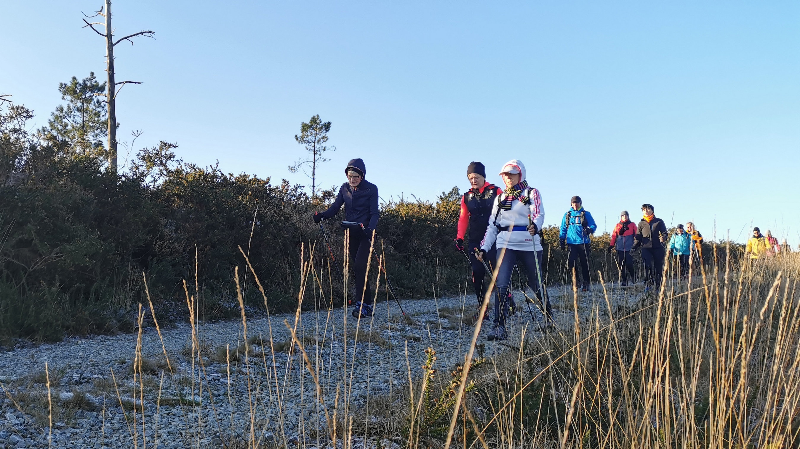 044-IMG_20210110_103603