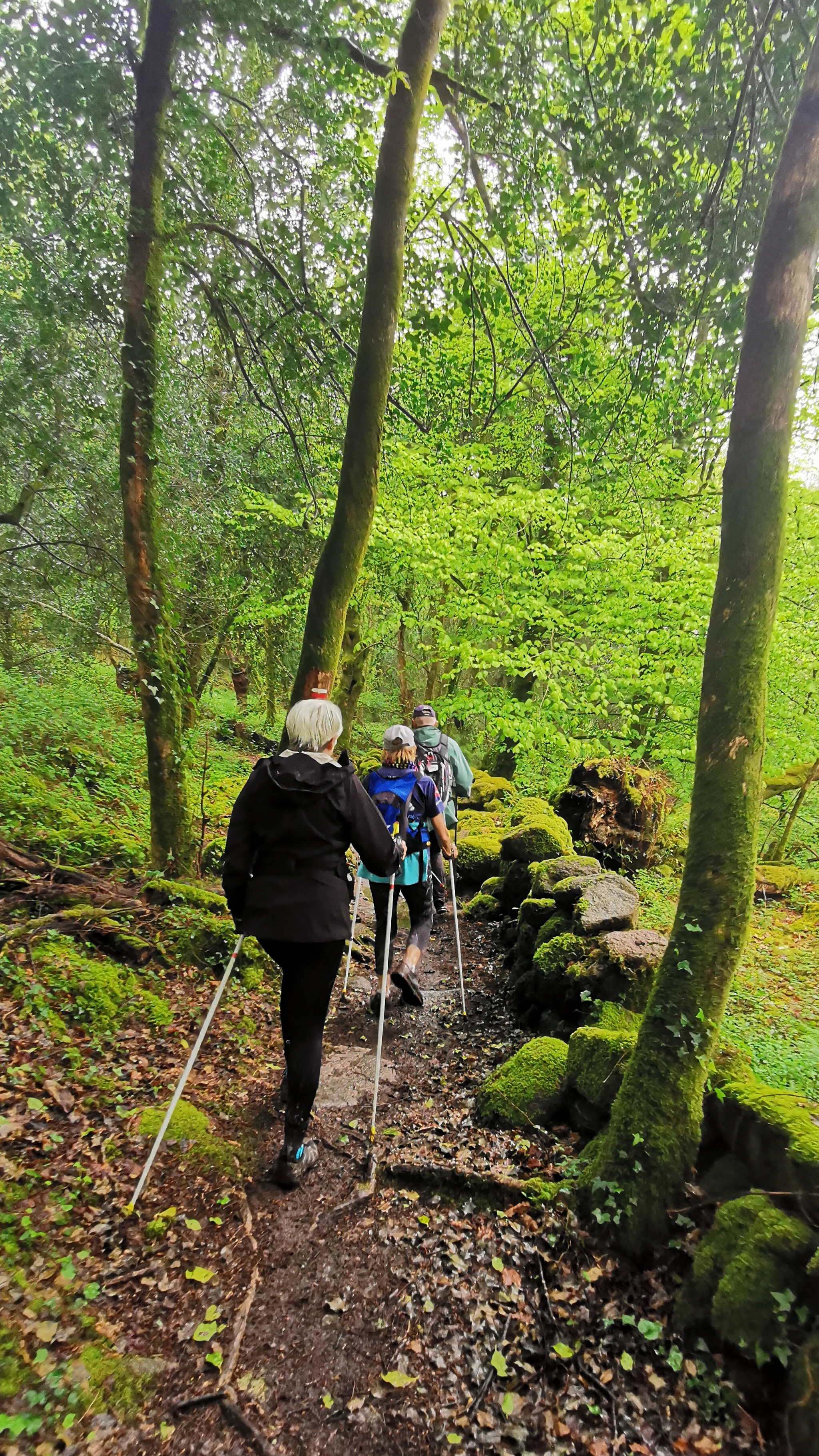 090-IMG_20210513_110724_1