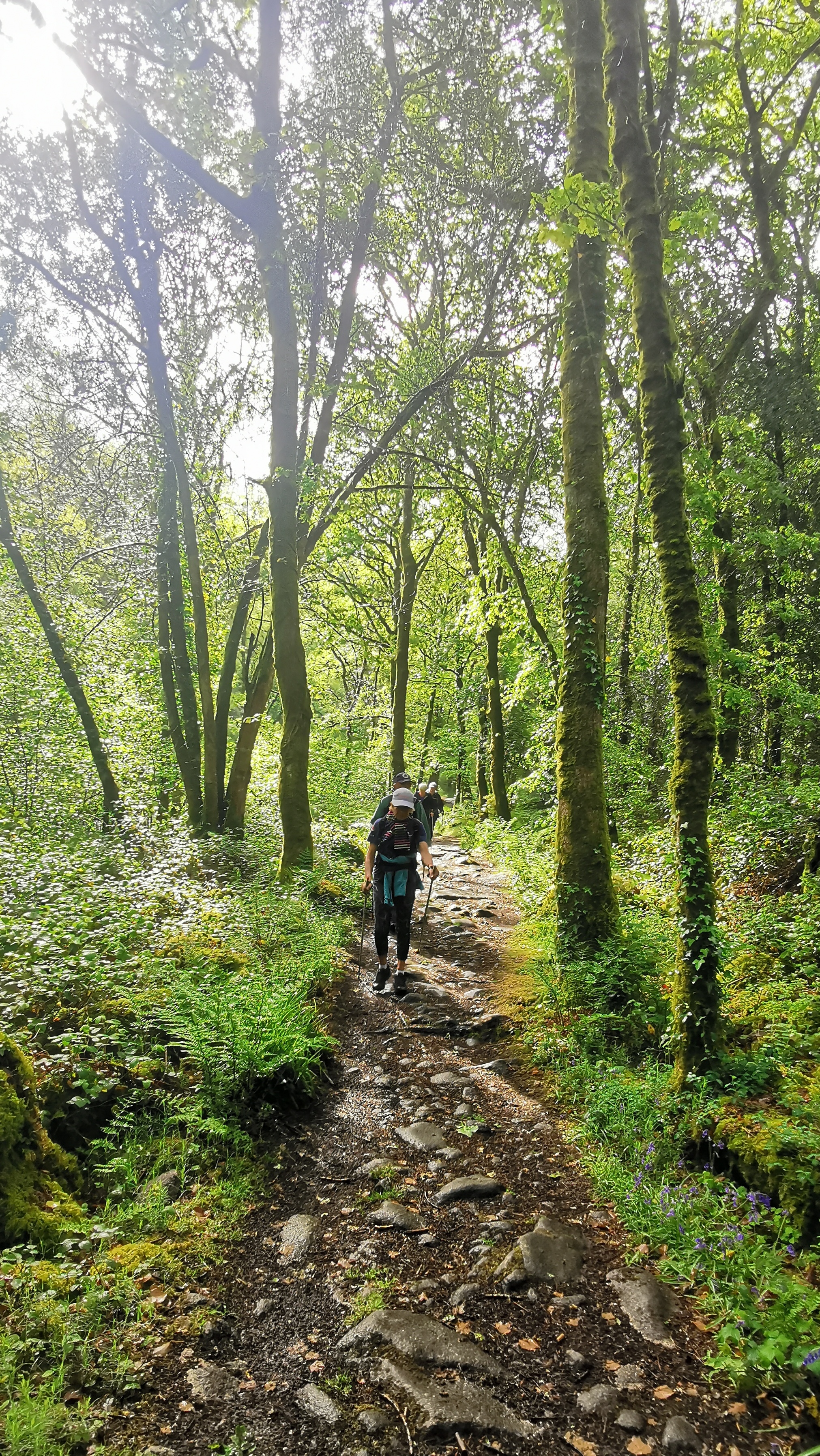 034-IMG_20210513_101711