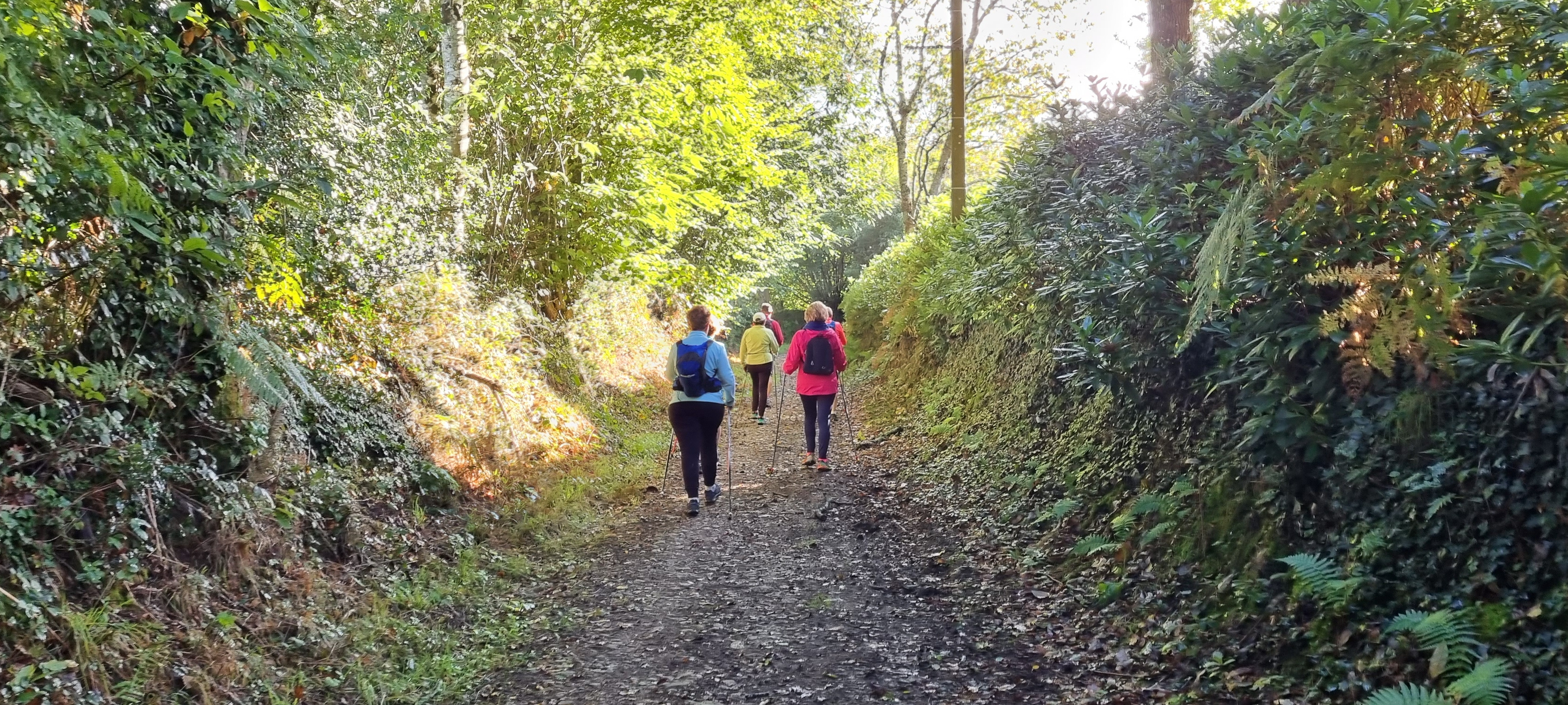 15-20211004_103727(0)