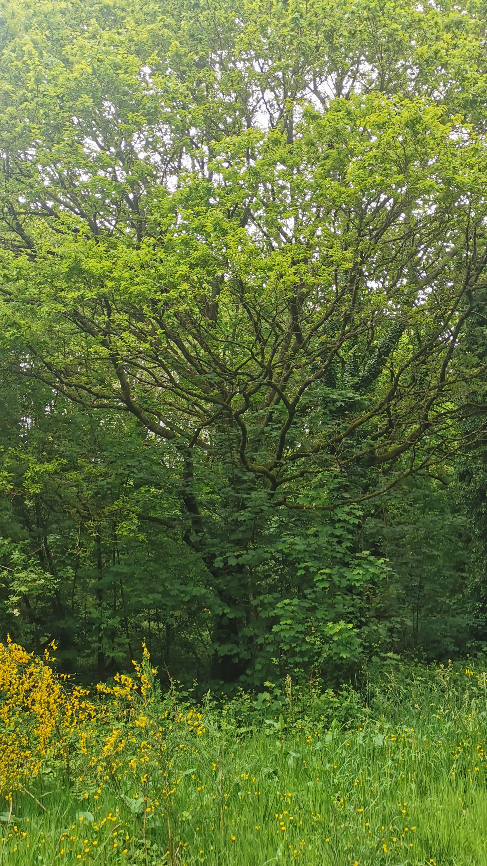 08-IMG_20210514_172846