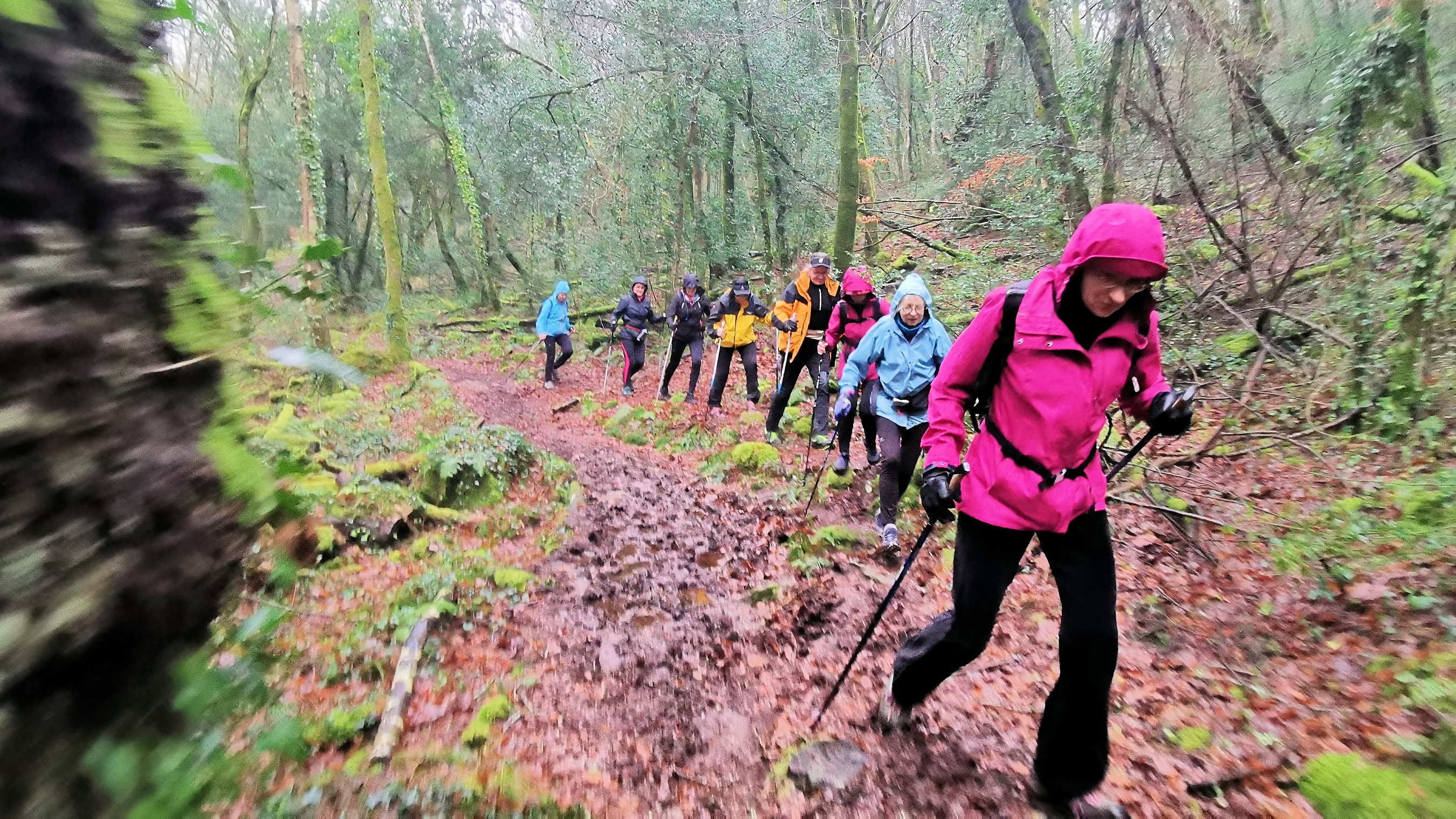 37-IMG_20210121_103950_1