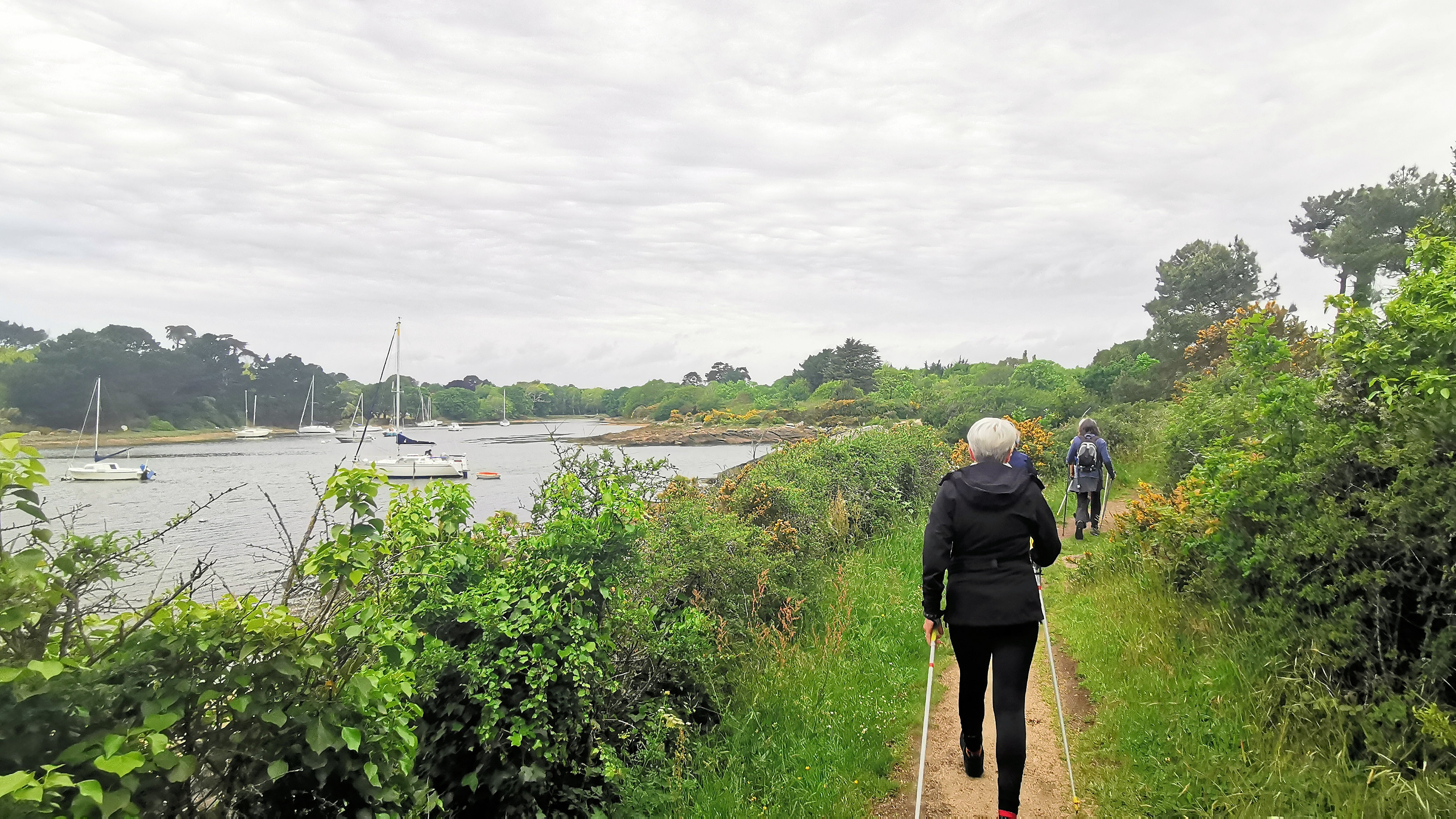 81-IMG_20210520_105615_1