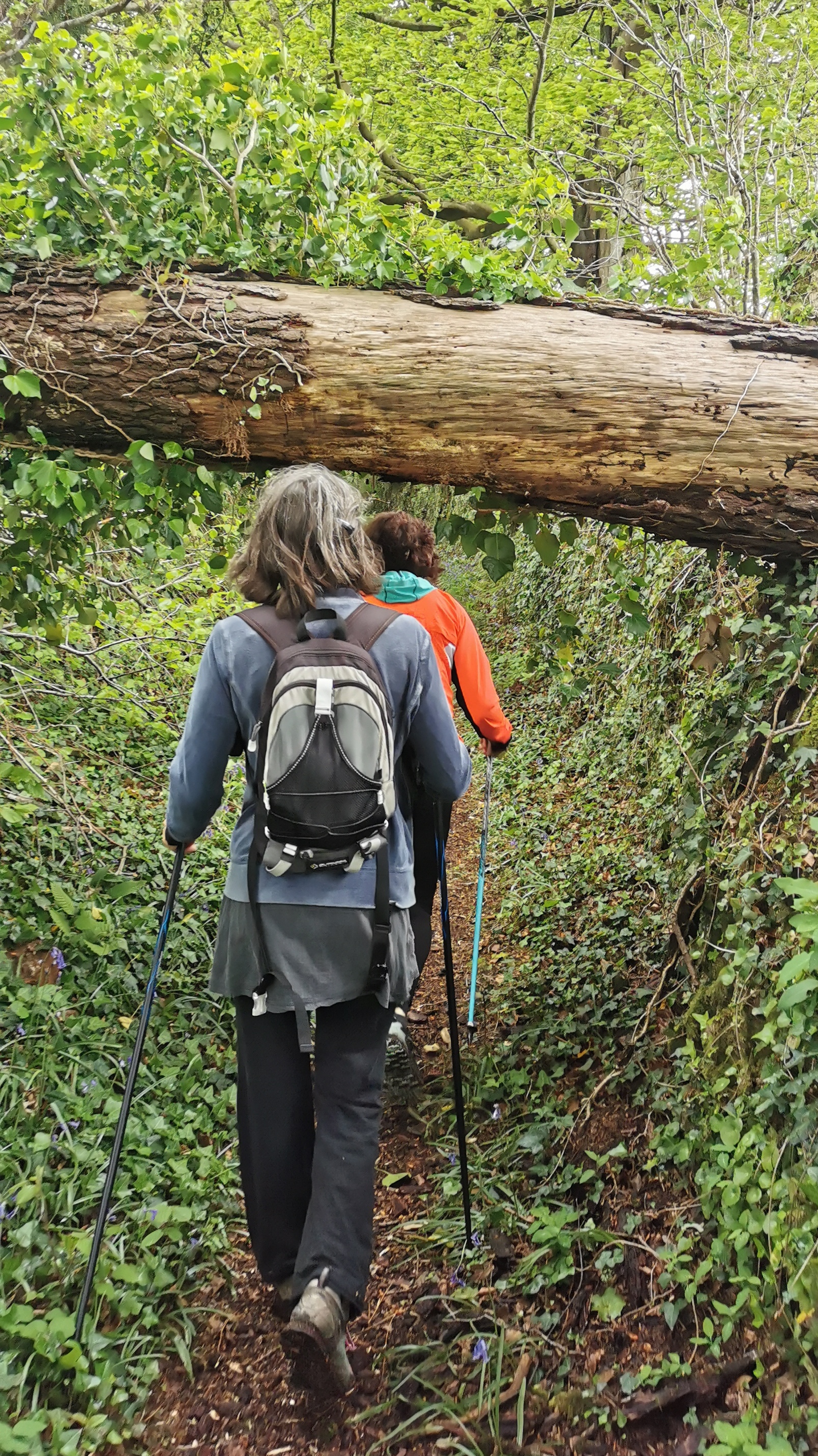 38-IMG_20210508_105248_1