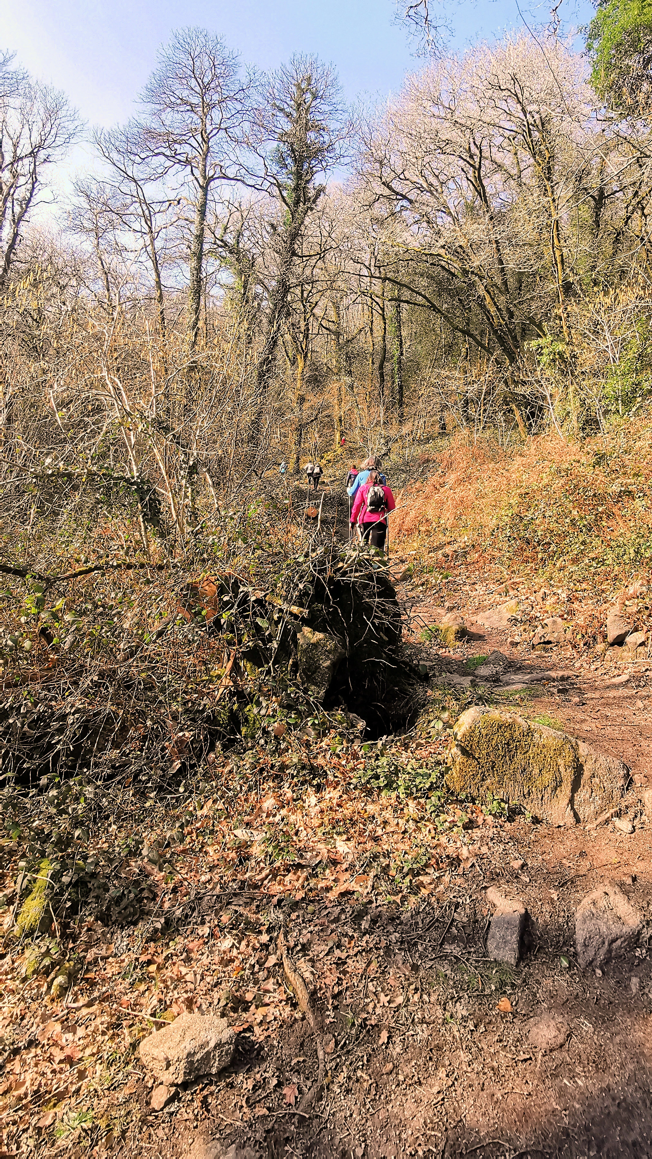 87-IMG_20210307_111856