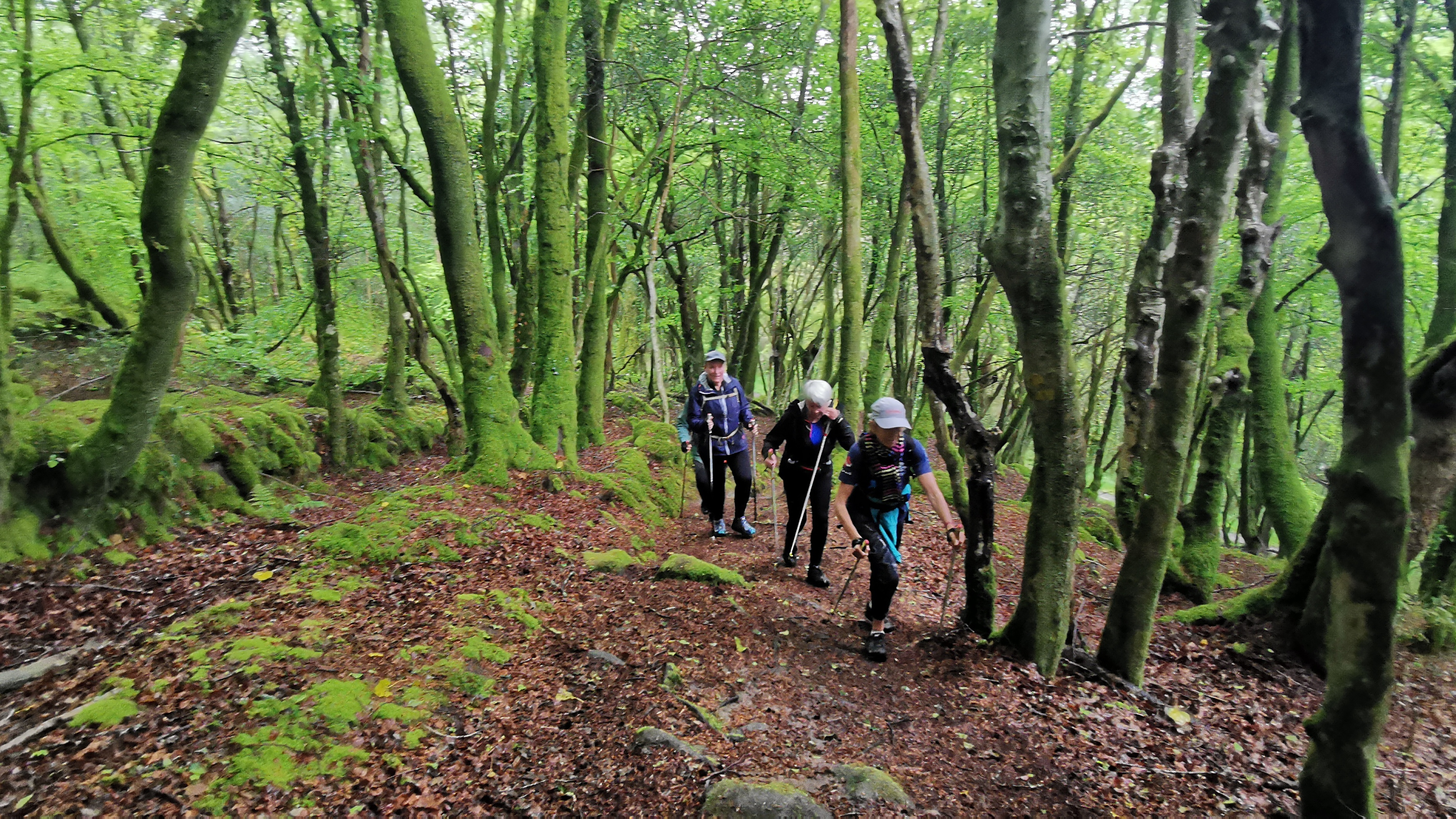 079-IMG_20210513_105416