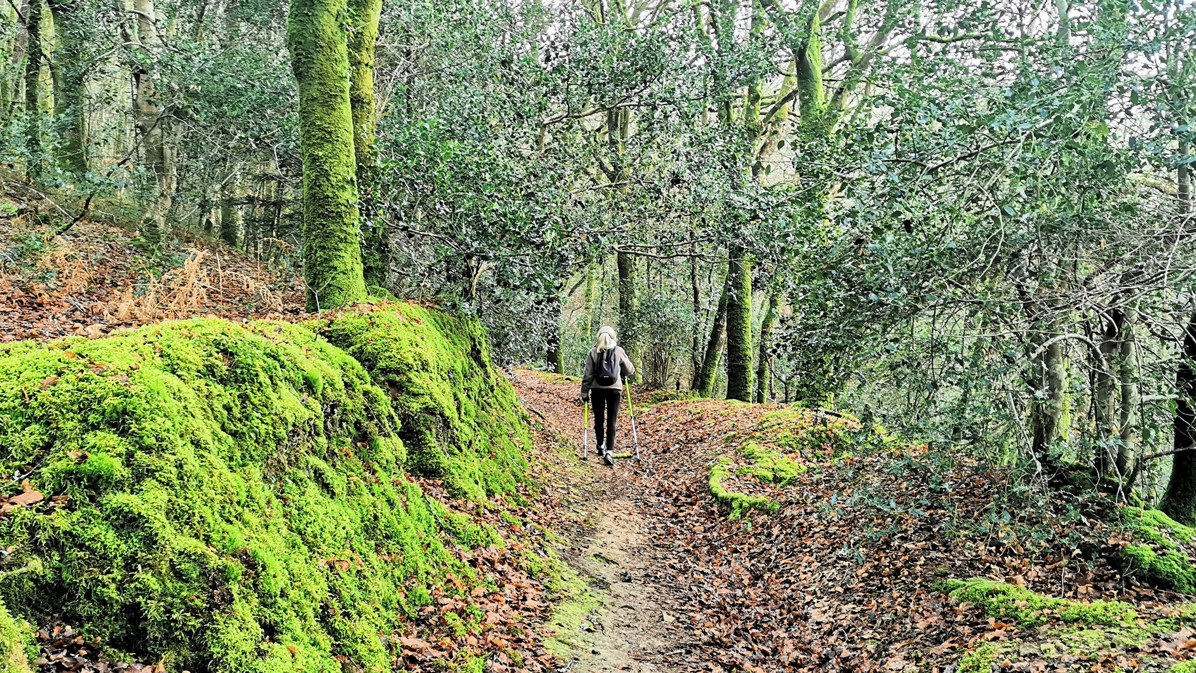 04-IMG_20210105_102336