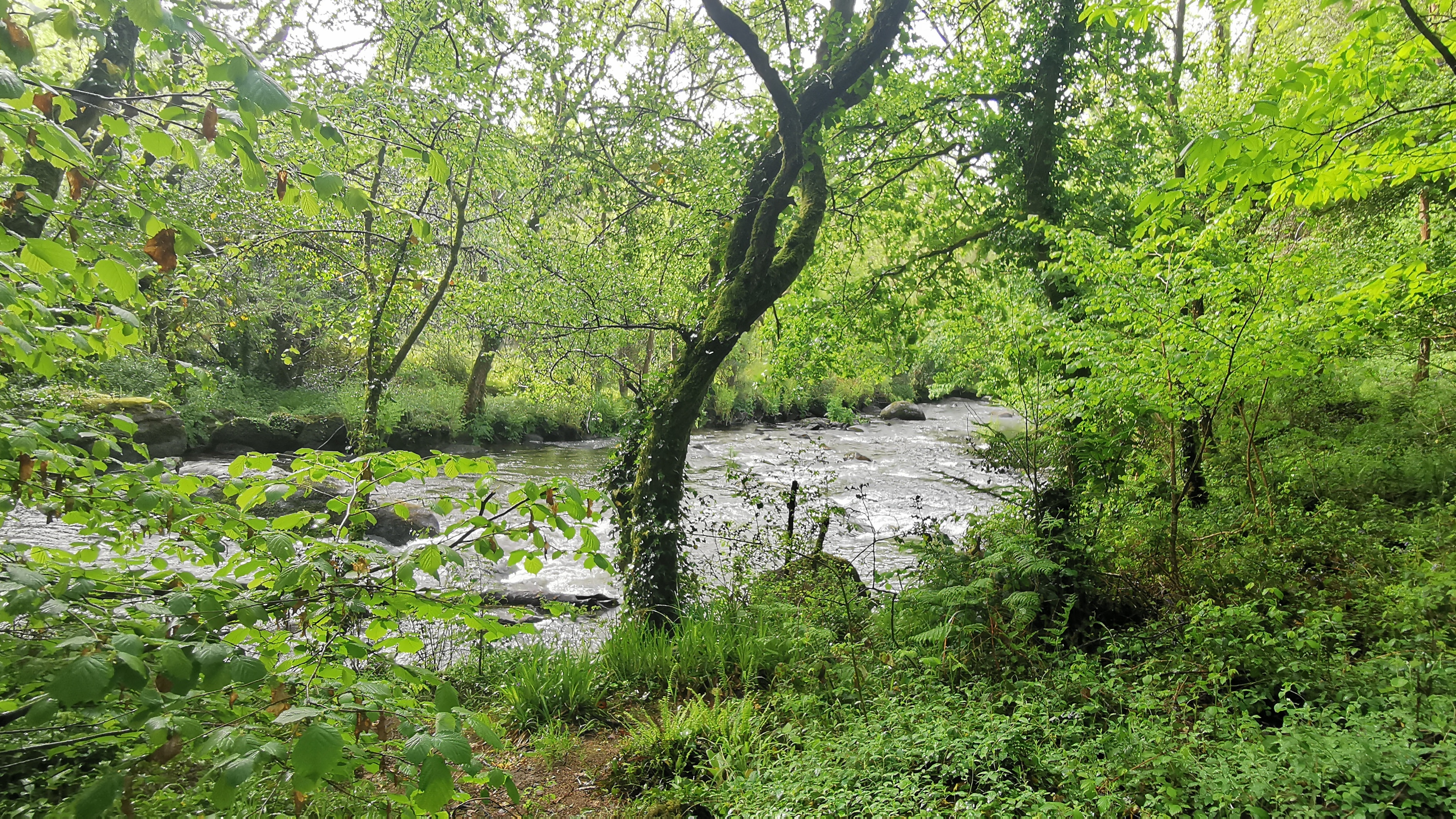 031-IMG_20210513_101548