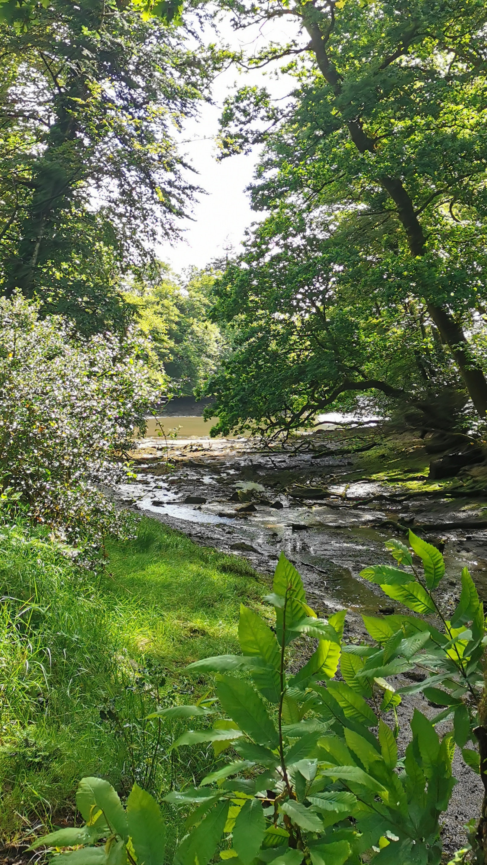 06-IMG_20210522_104403