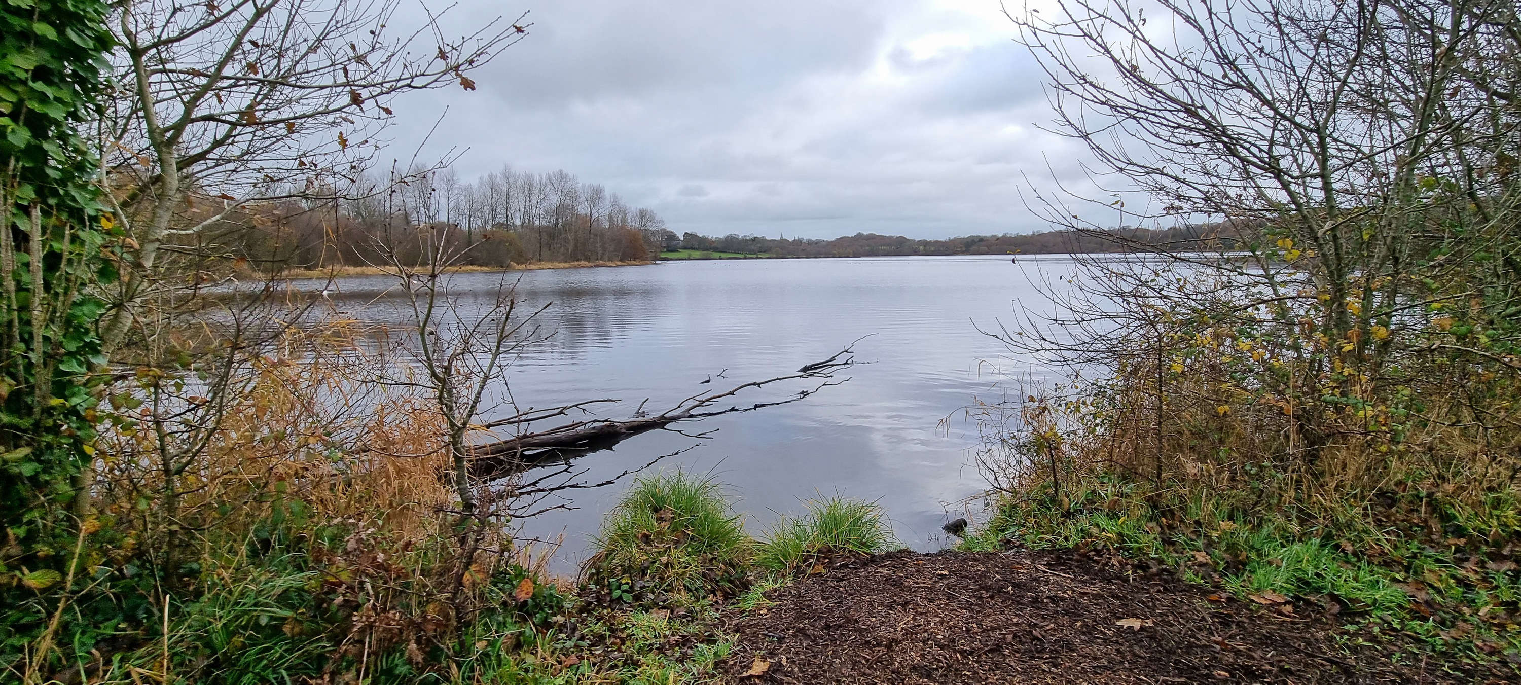 39-20211213_110257(0)