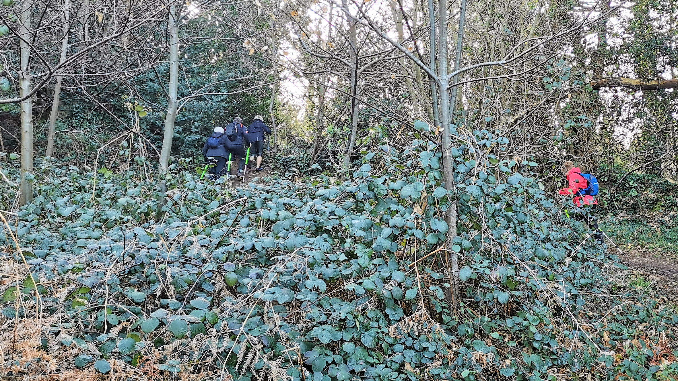 05-IMG_20210301_100334