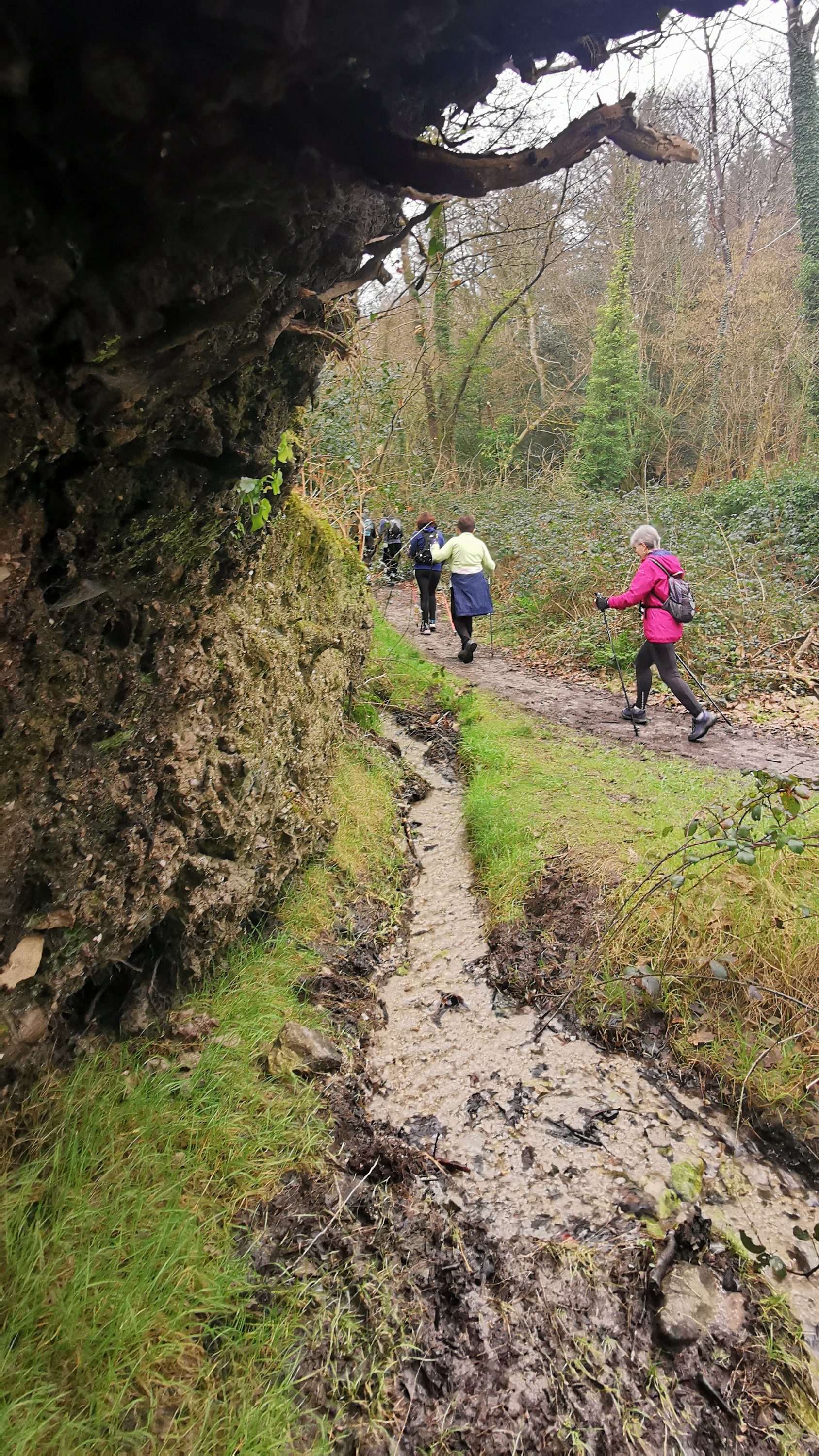 23-IMG_20210304_103542_1