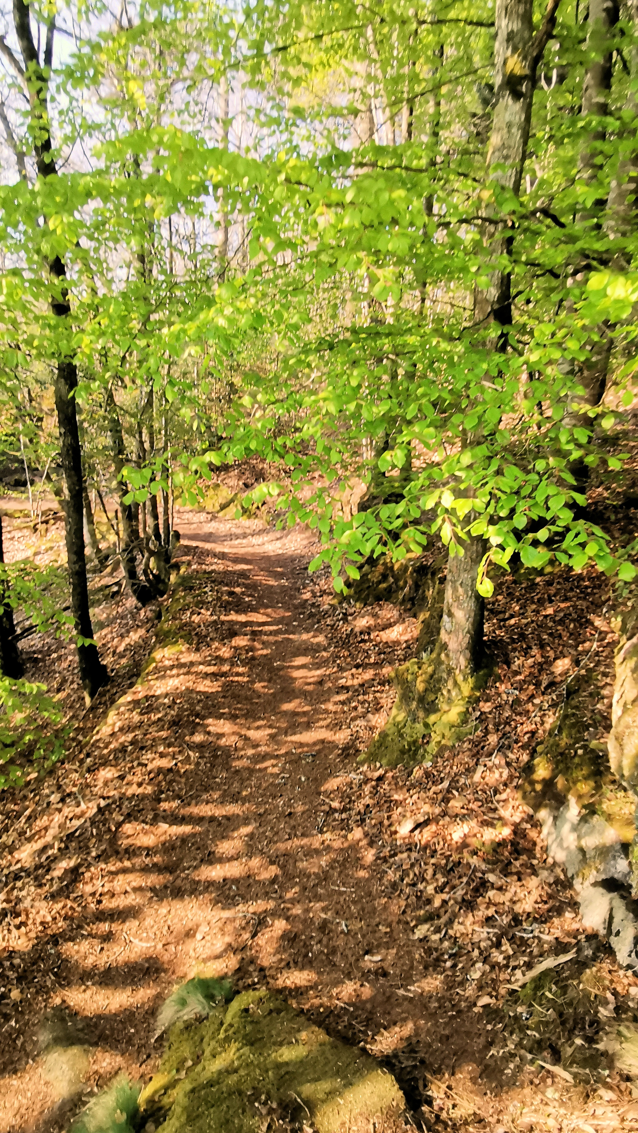 11-IMG_20210422_103119