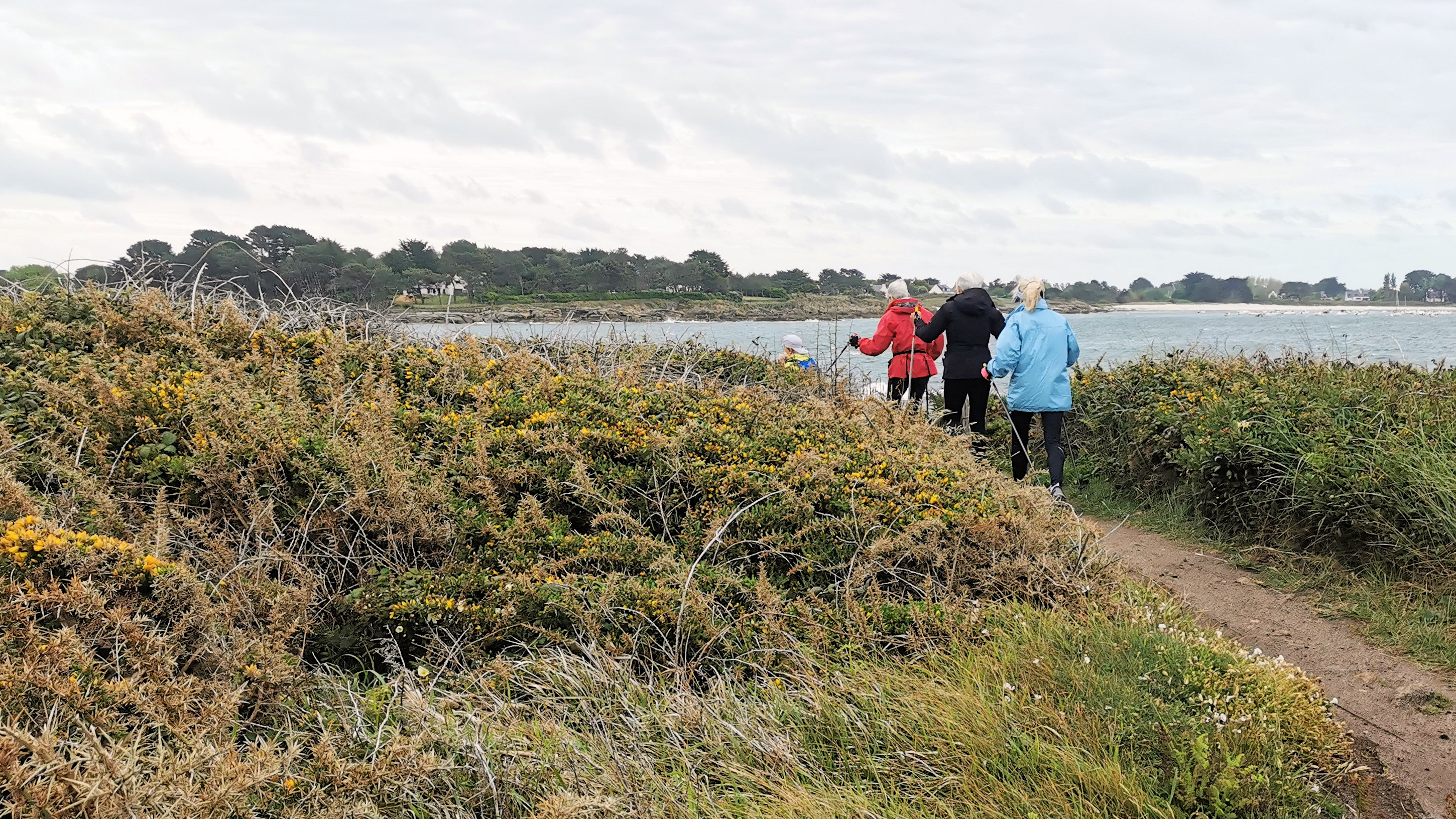 11-IMG_20210520_095414