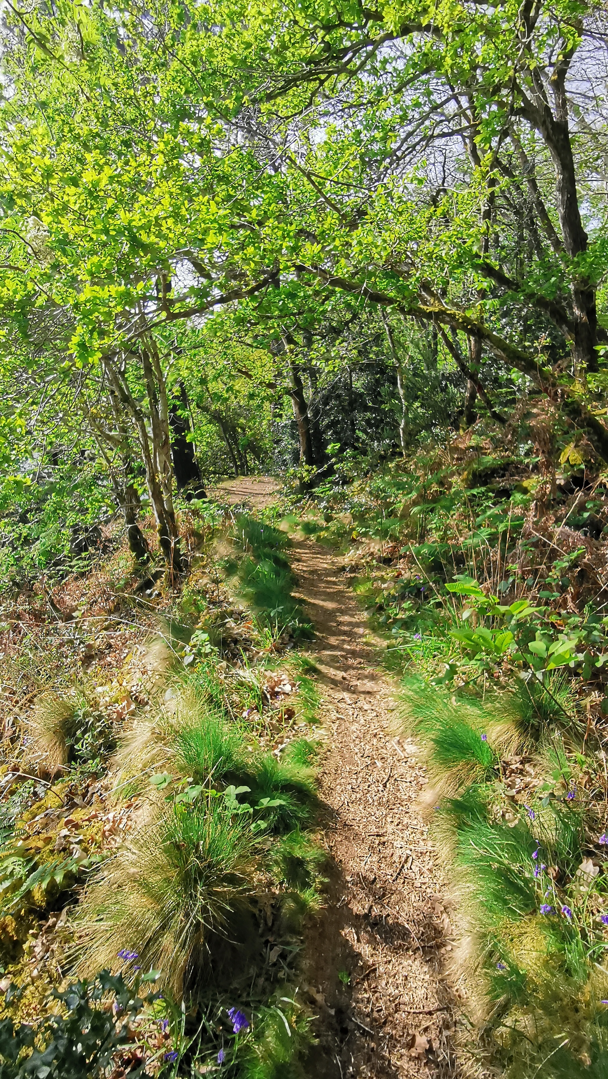 24-IMG_20210425_103228