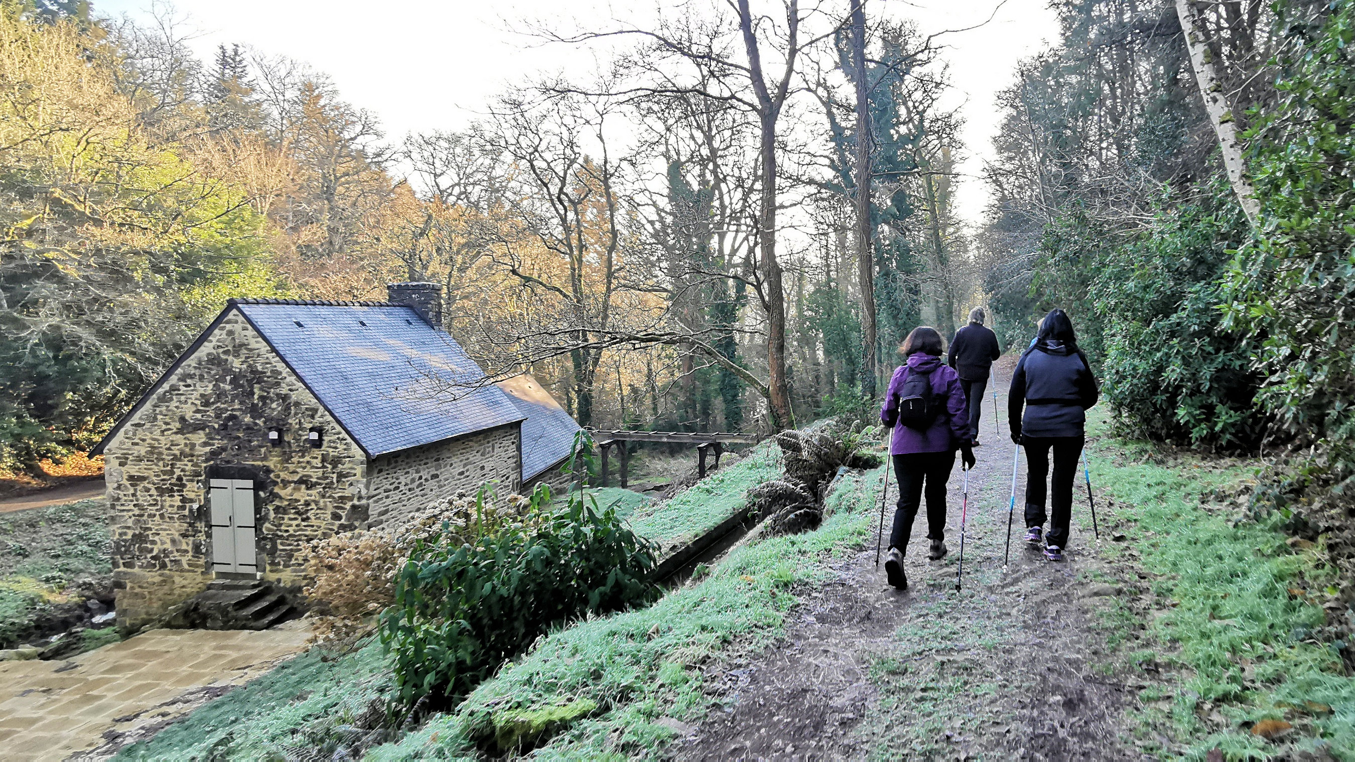 17-IMG_20210109_103823