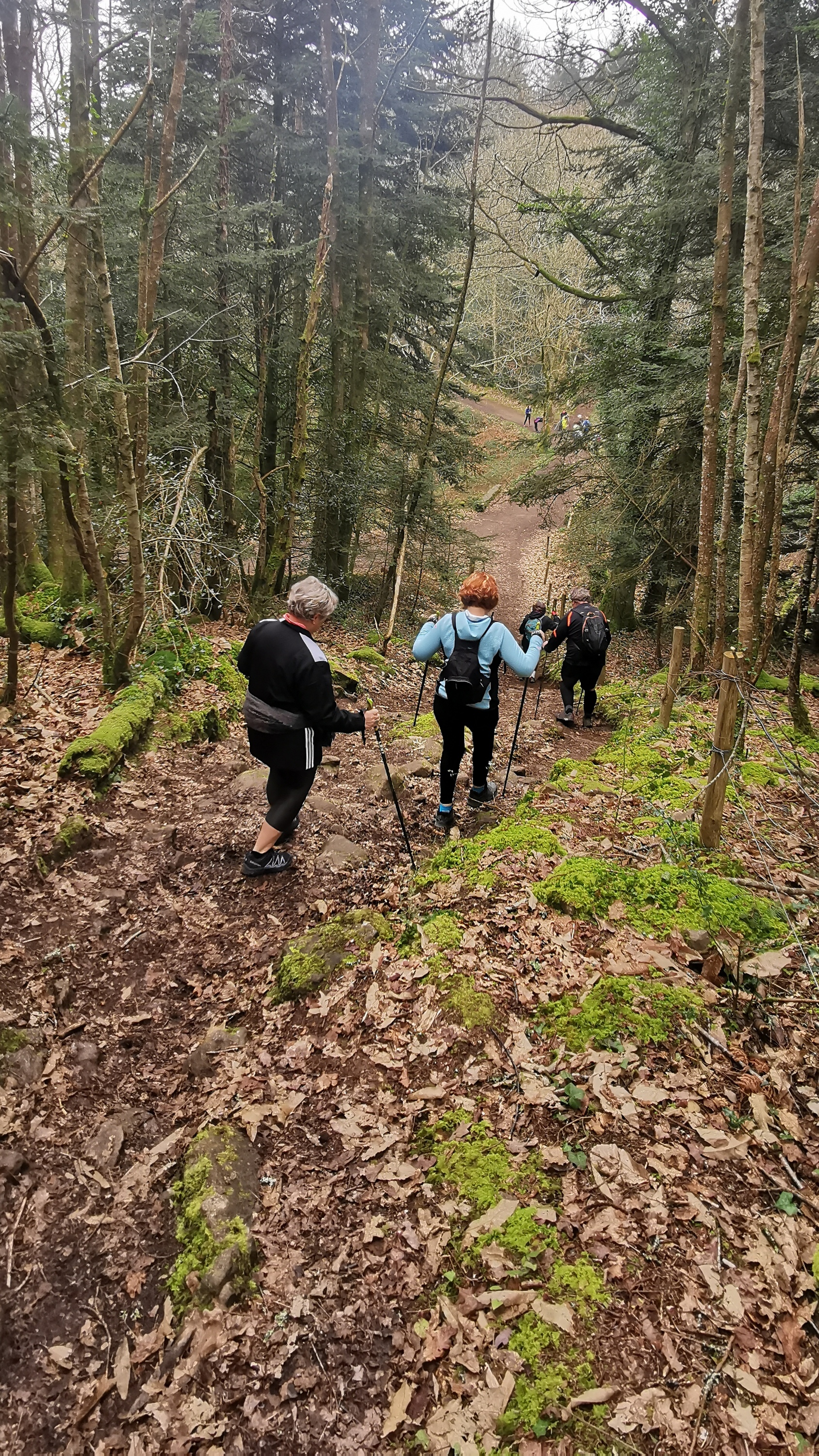 50-IMG_20210304_111444