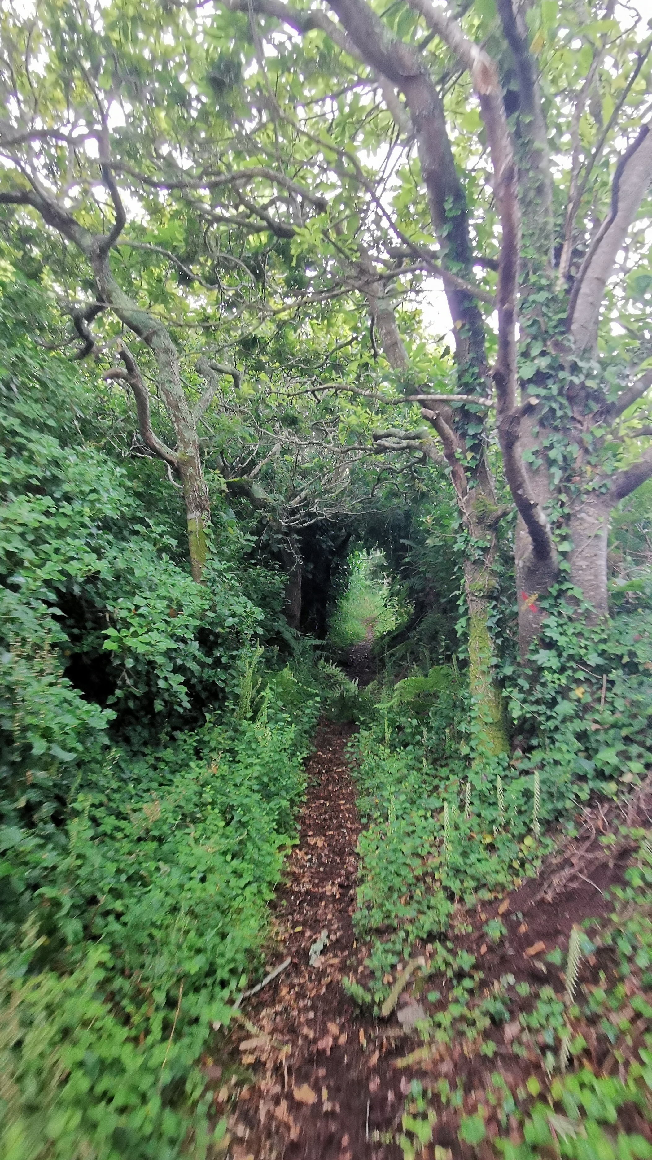 156-IMG_20210620_114226