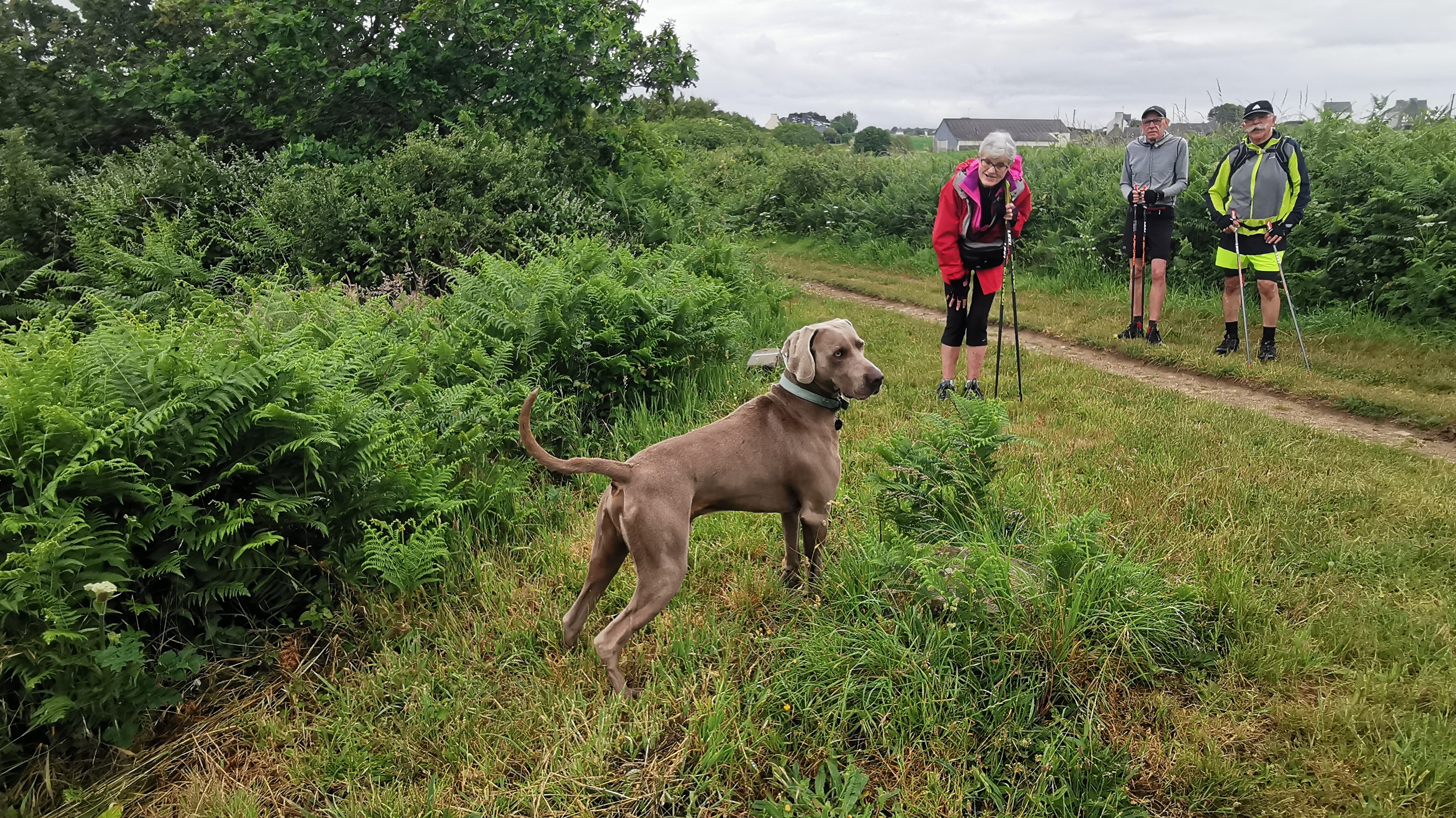 133-IMG_20210620_111401