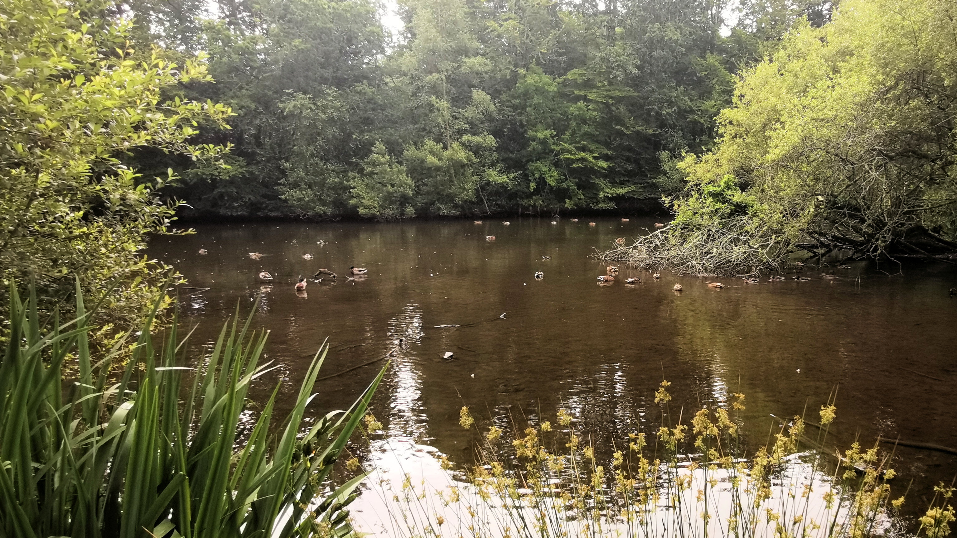 03-IMG_20210628_102632