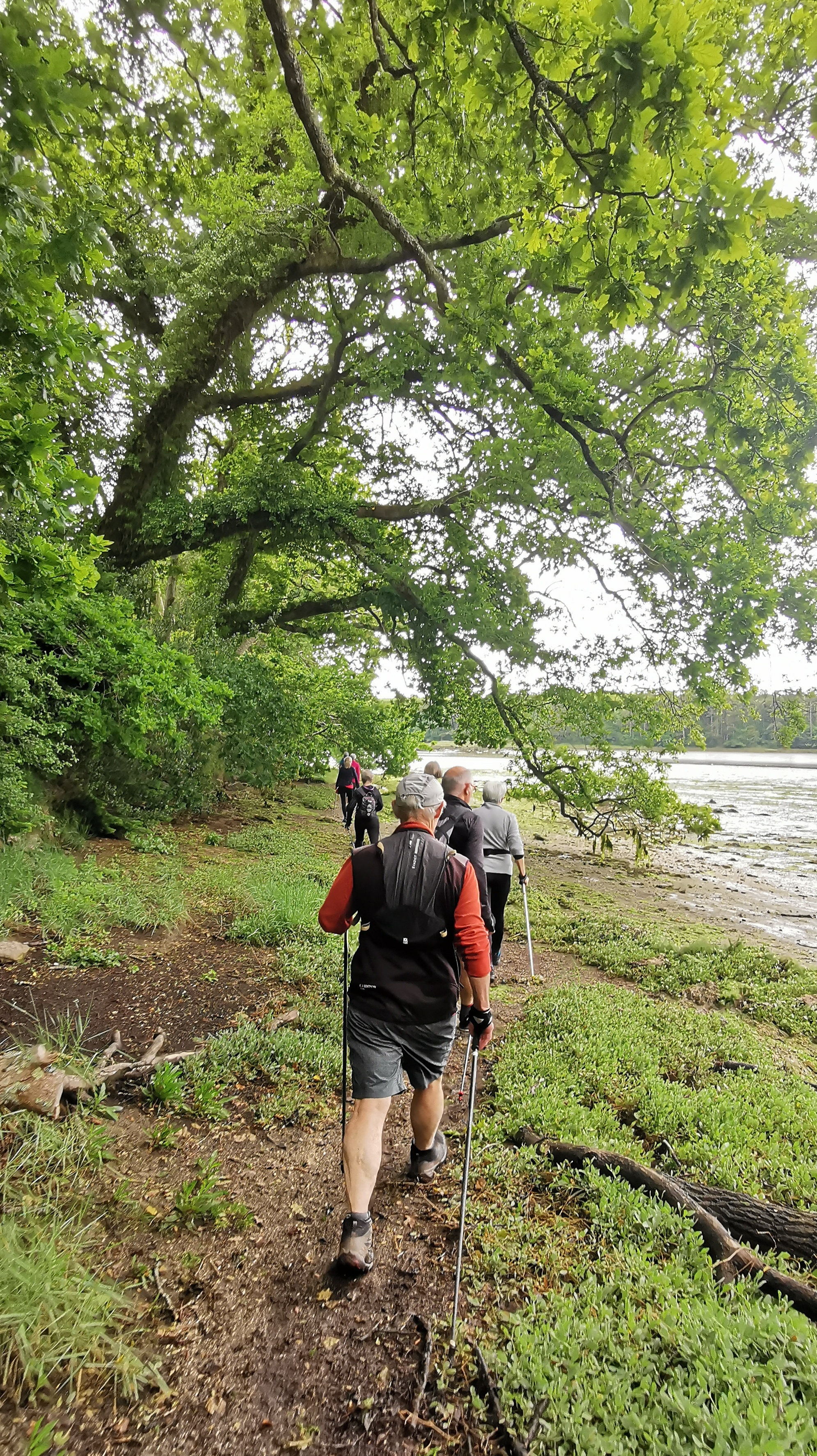 25-IMG_20210527_102949_1