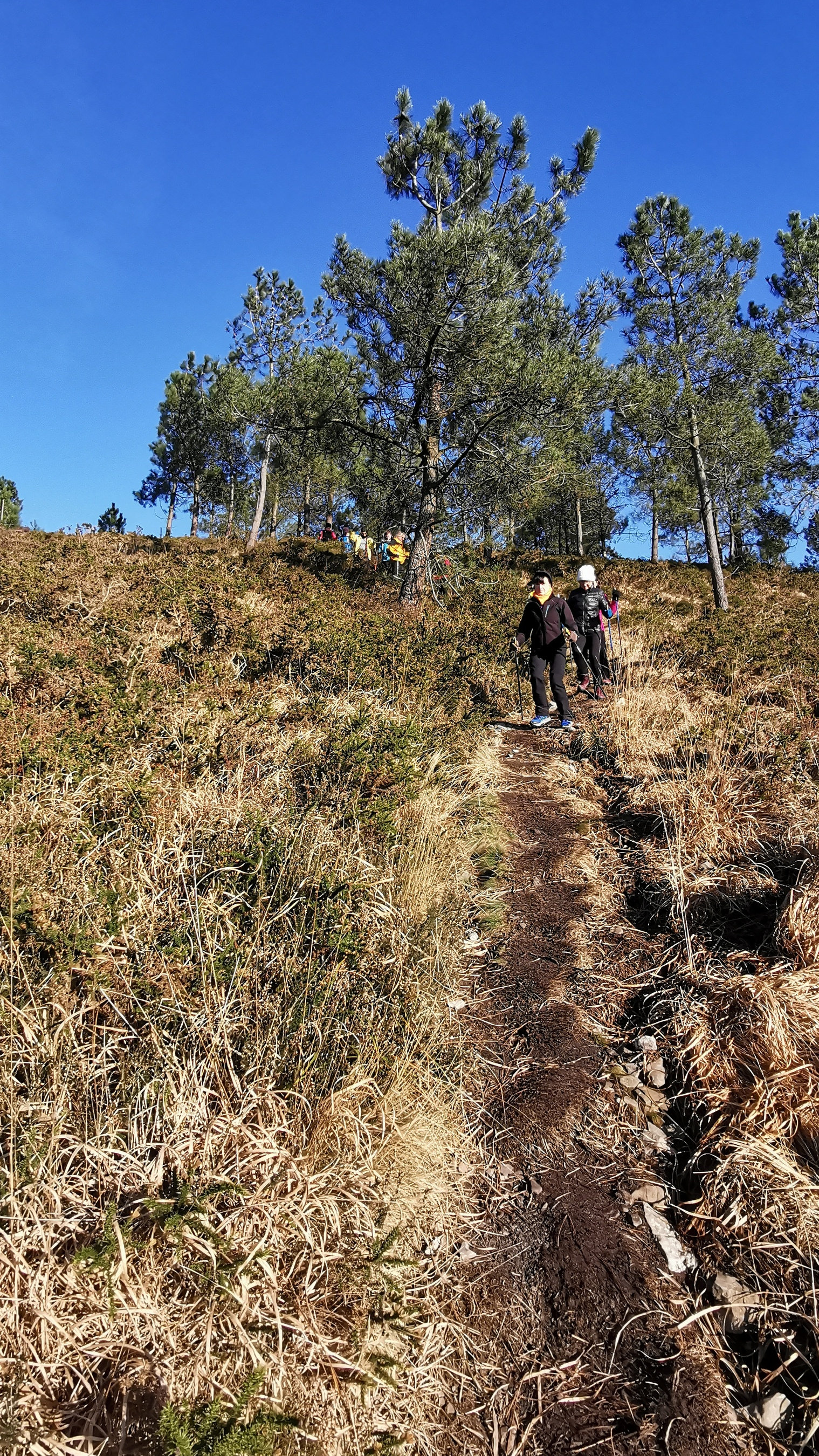 148-IMG_20210110_113959