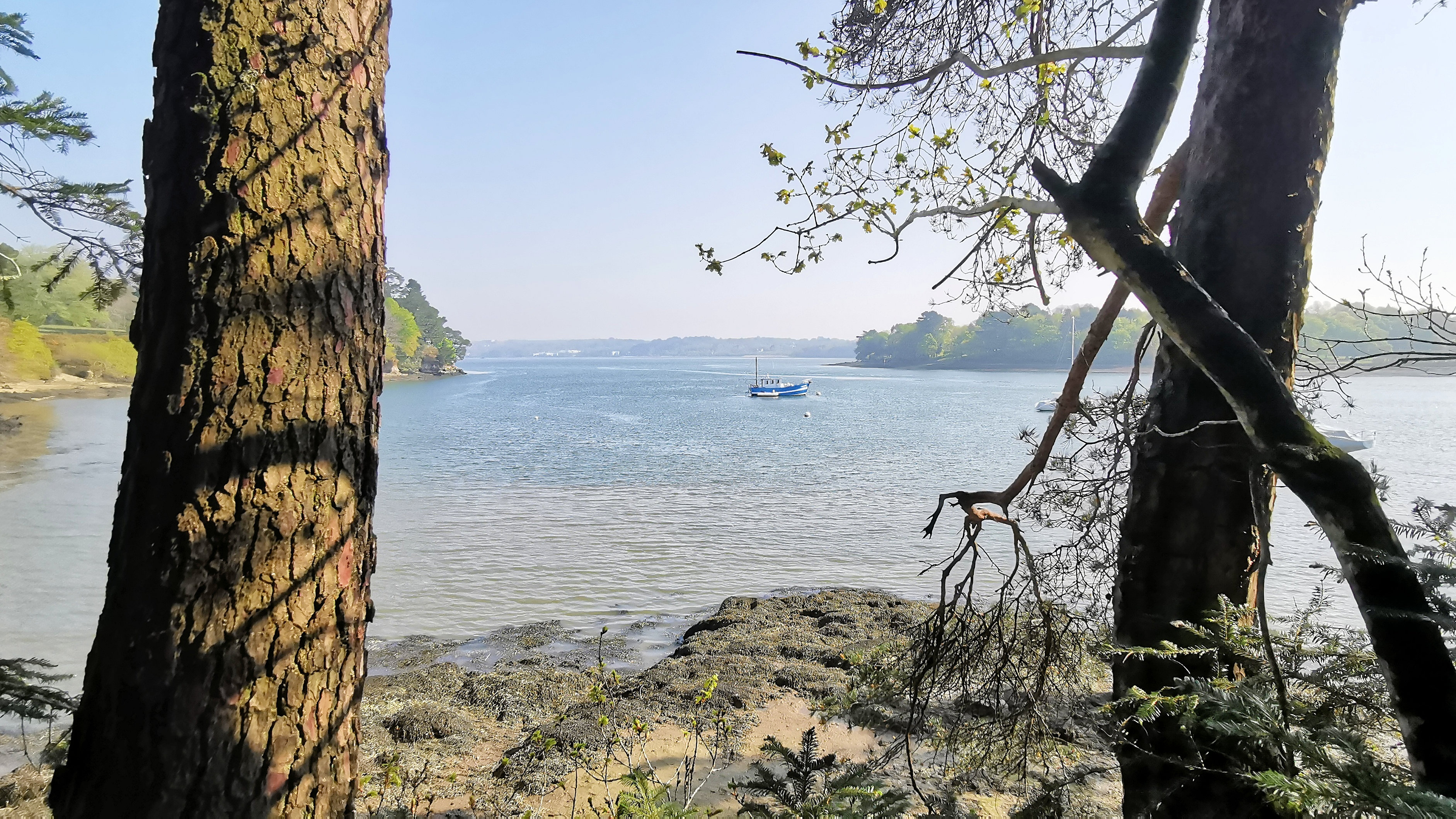 31-IMG_20210422_105932