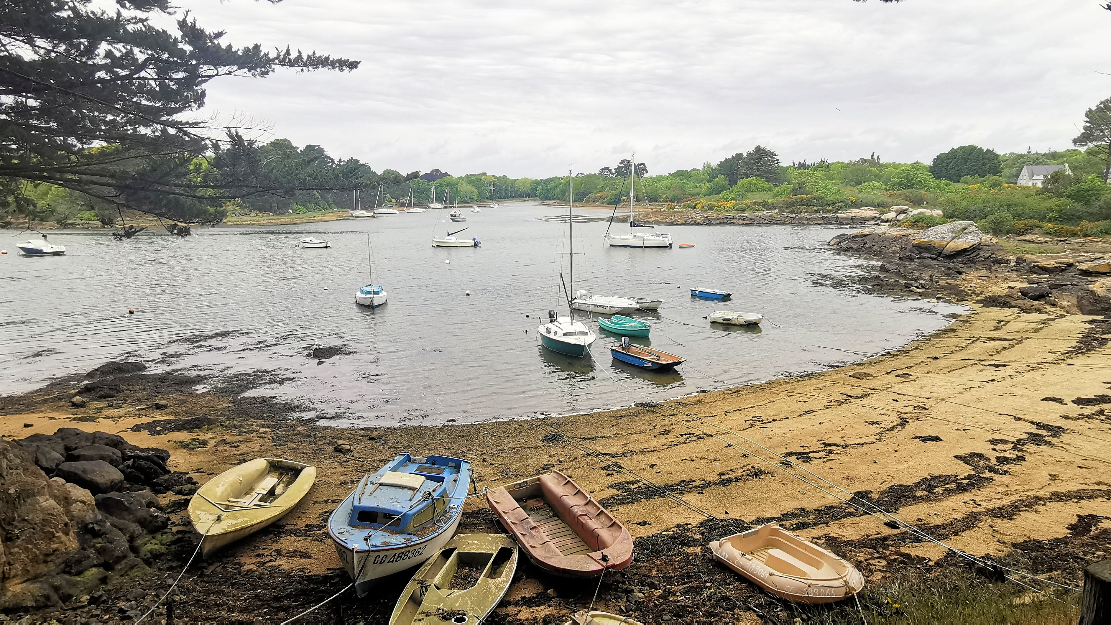 78-IMG_20210520_105531