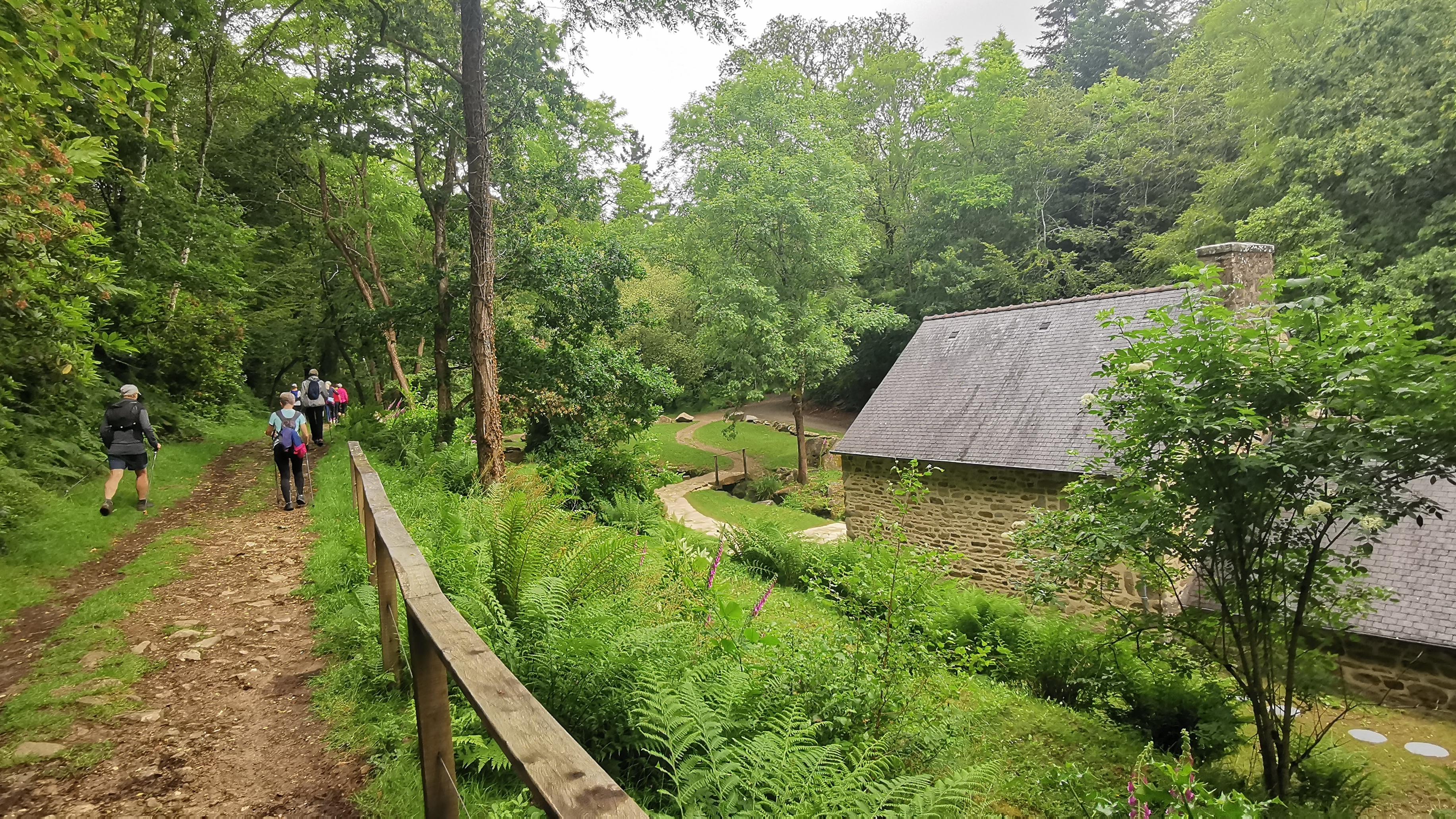 54-IMG_20210617_114024