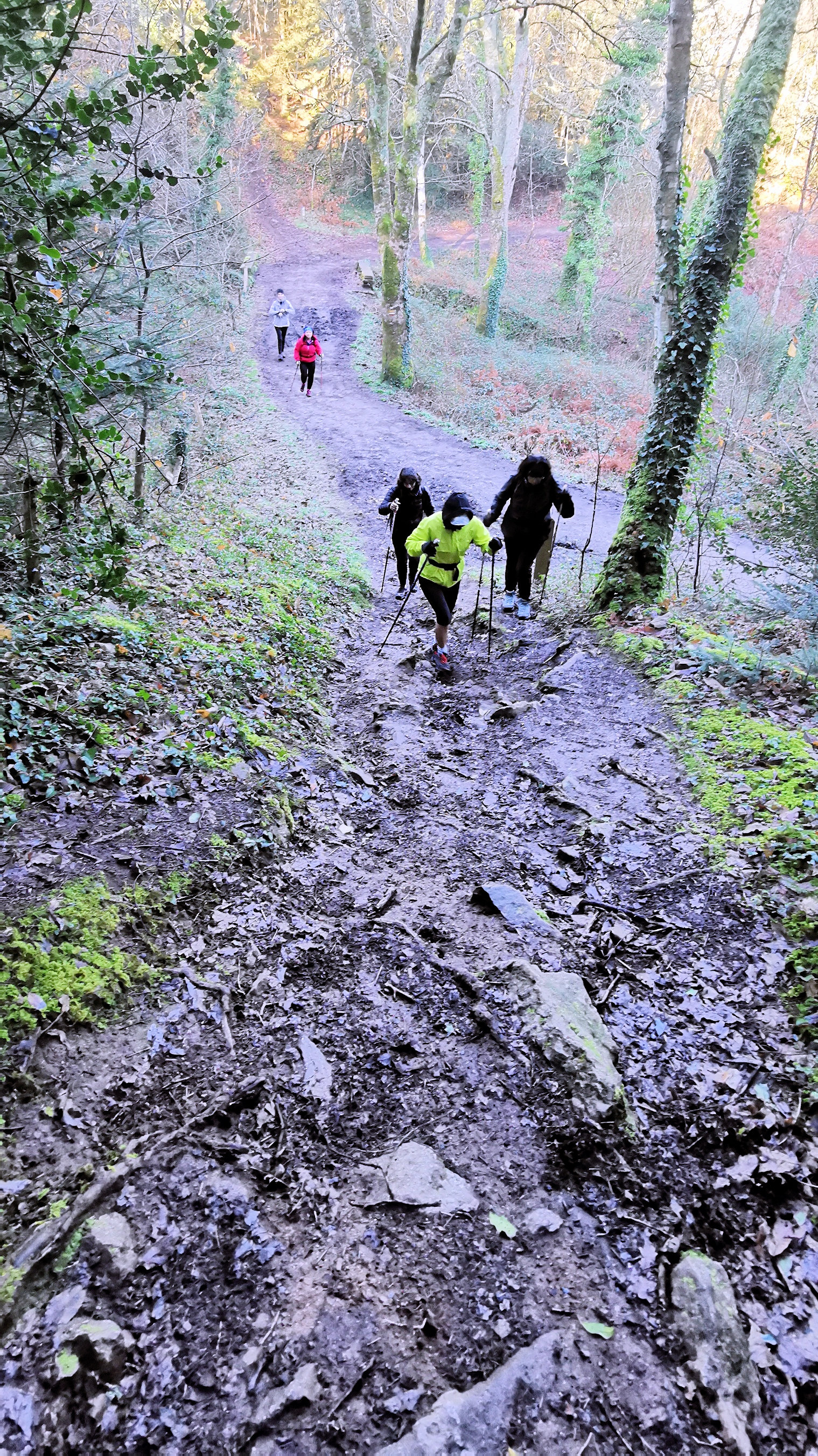 36-IMG_20210206_111048