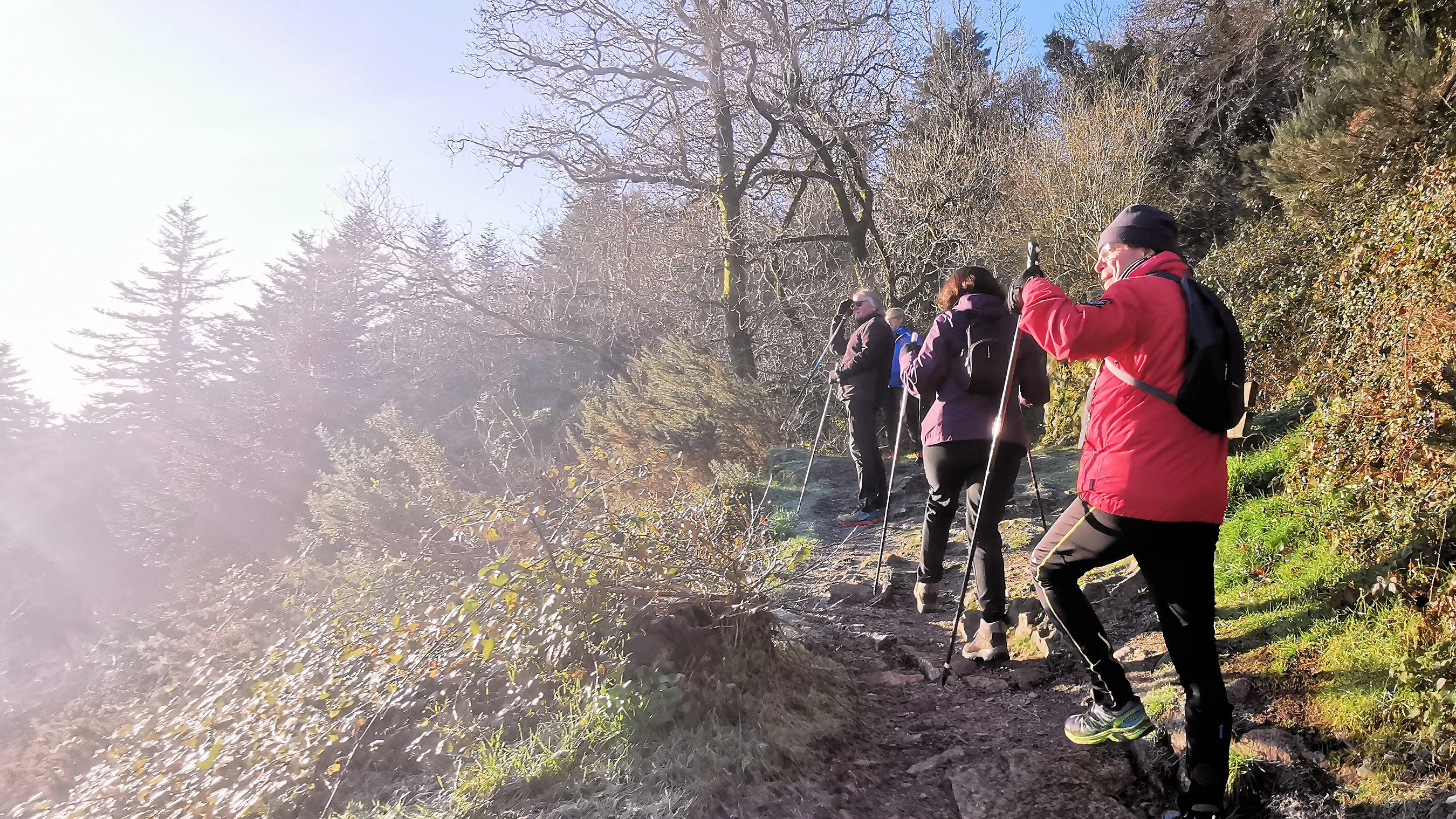 24-IMG_20210109_104358