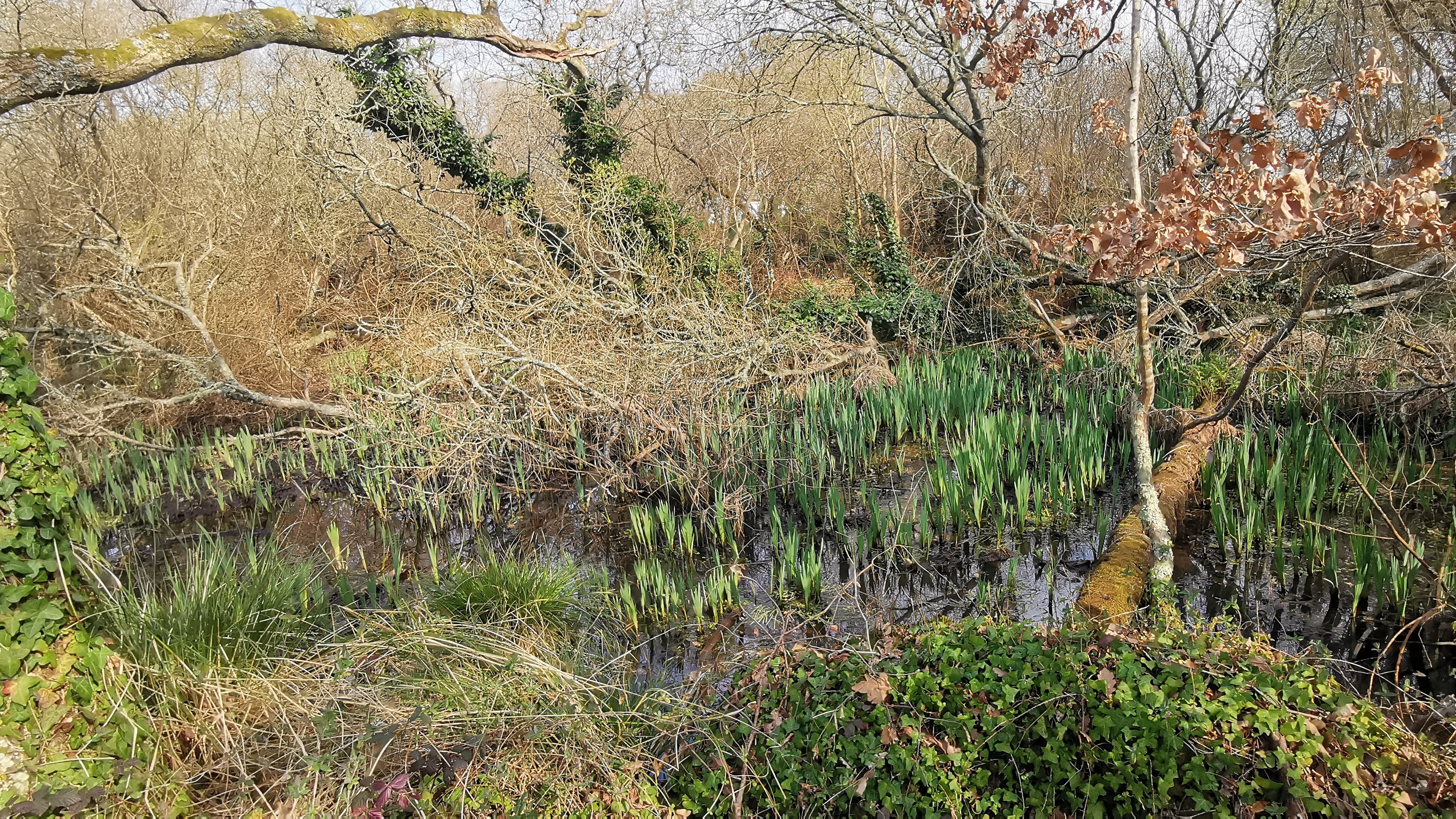 36-IMG_20210309_111132