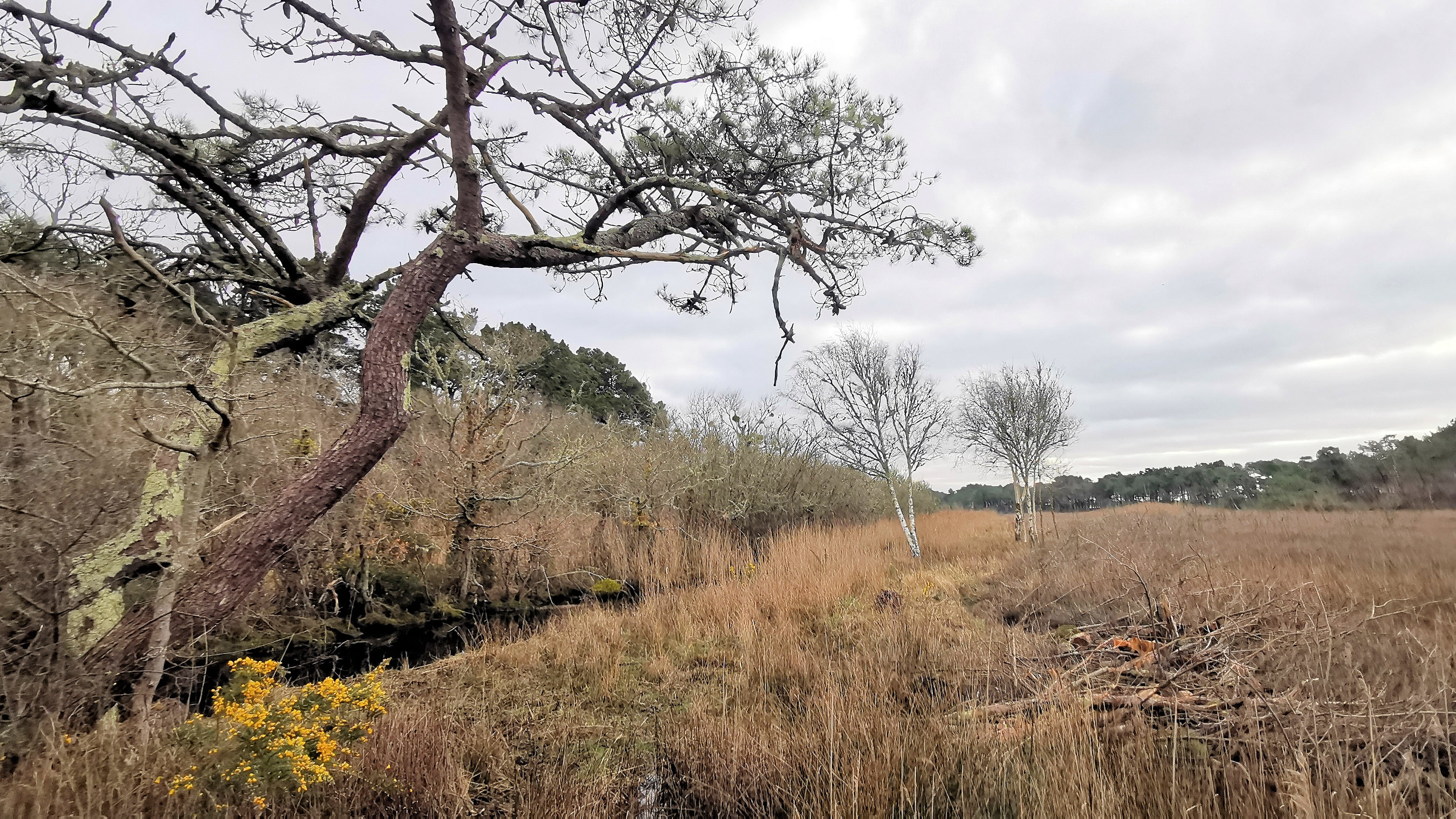 07-IMG_20210208_101332