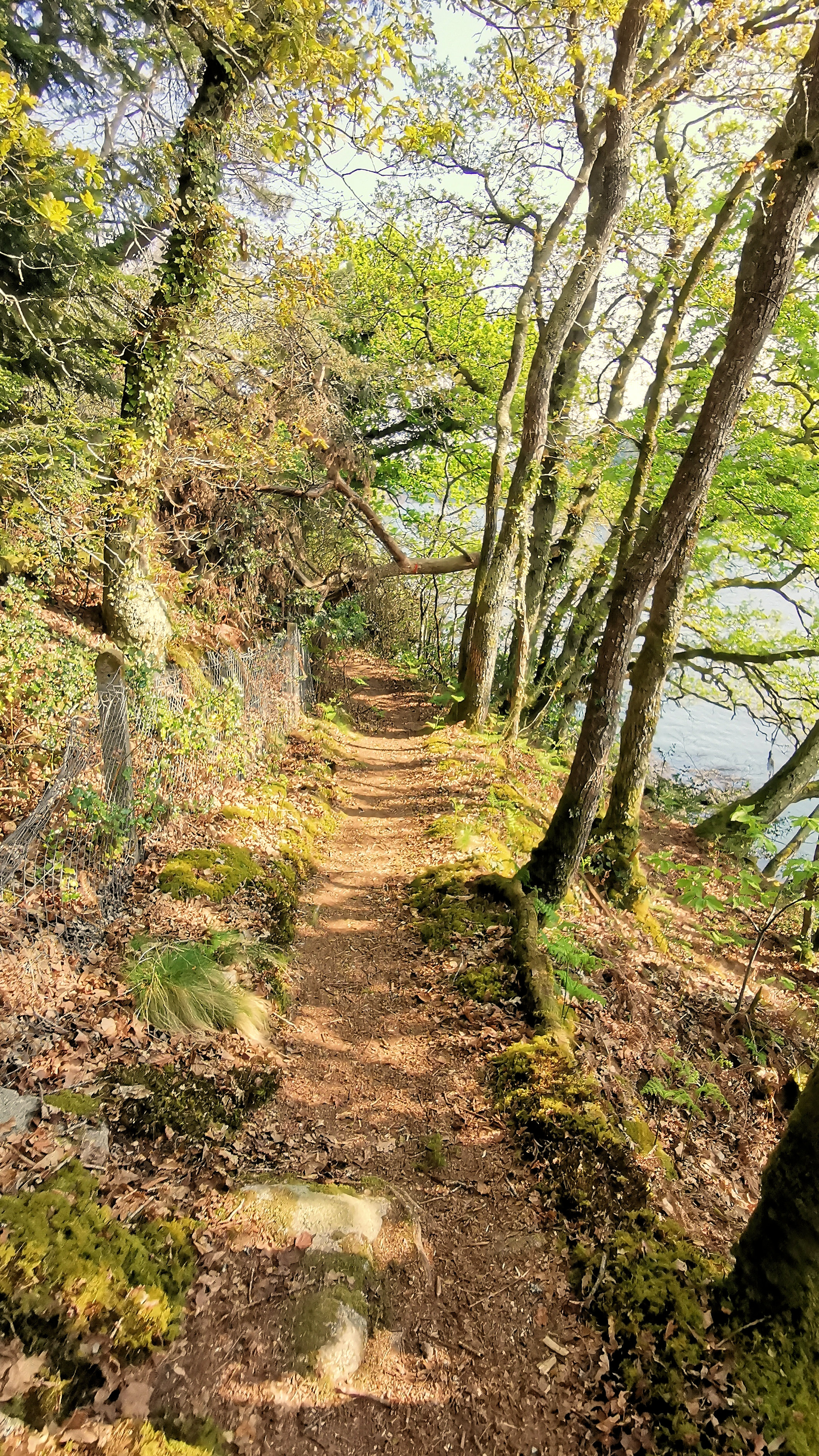 20-IMG_20210422_105047