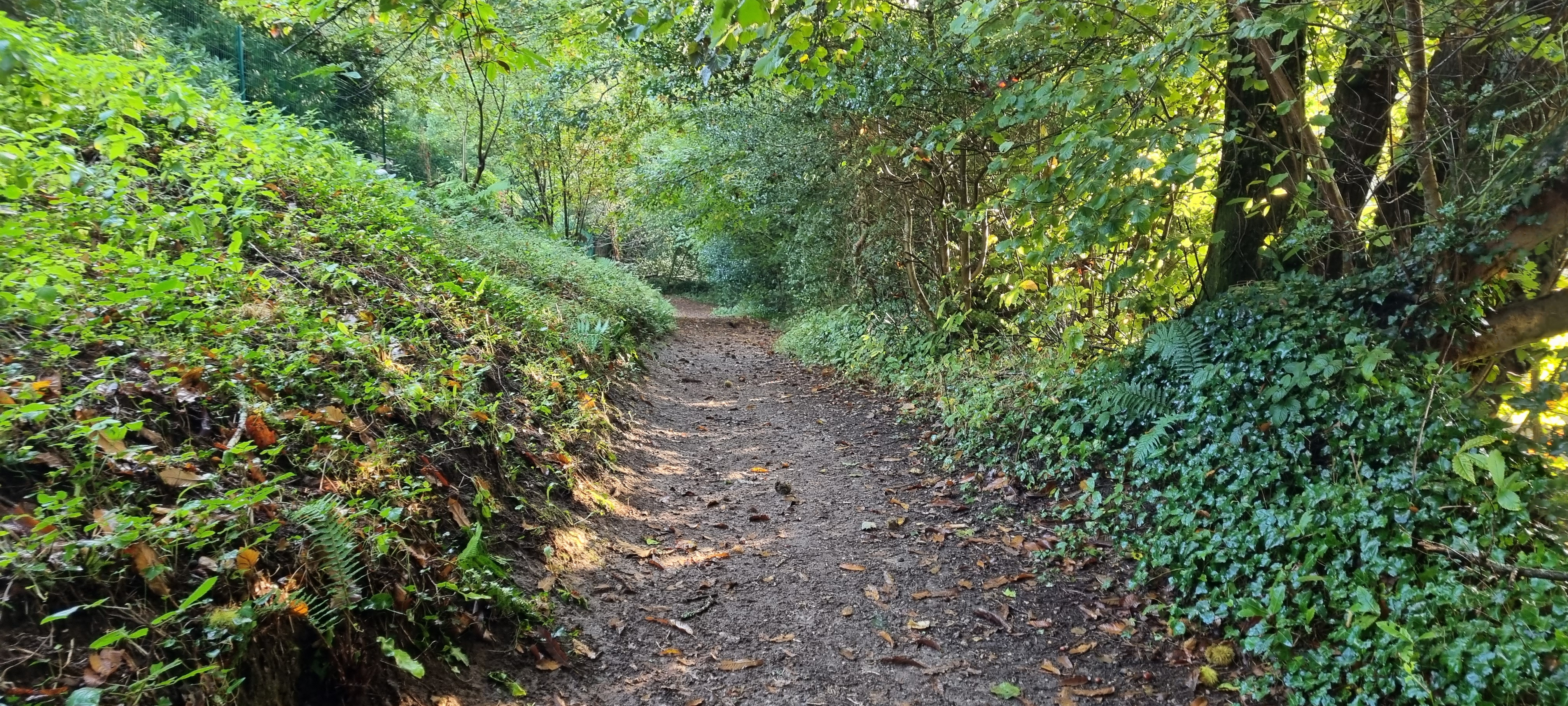 01-20211019_100950(0)