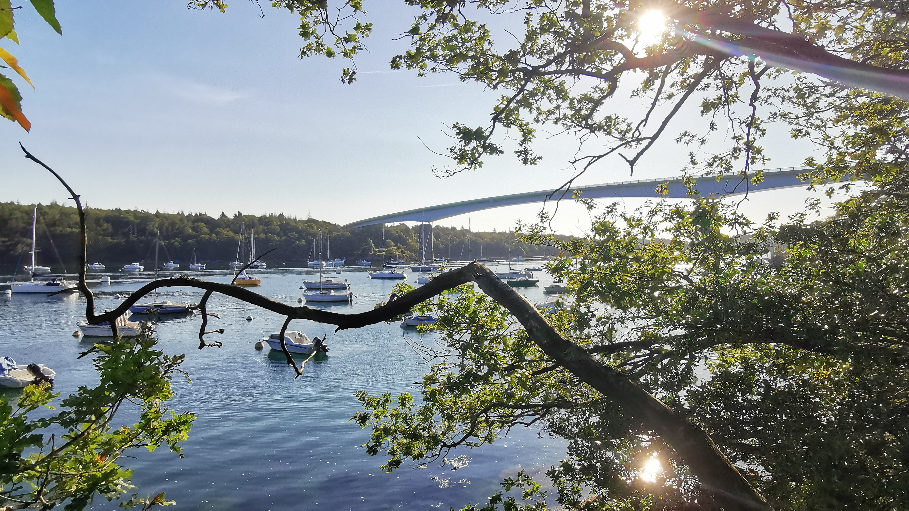 09-IMG_20210829_095112