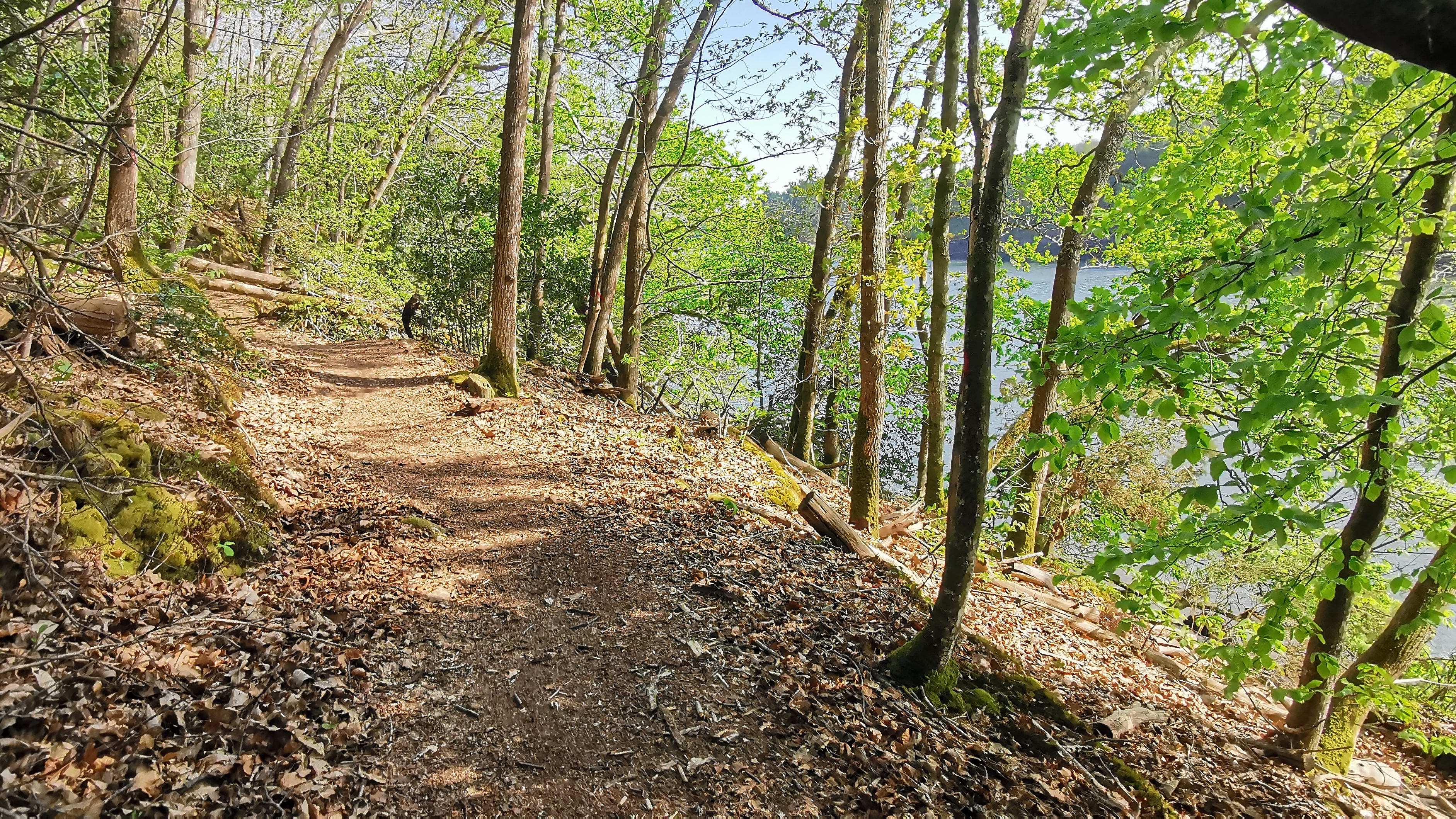 25-IMG_20210425_103608