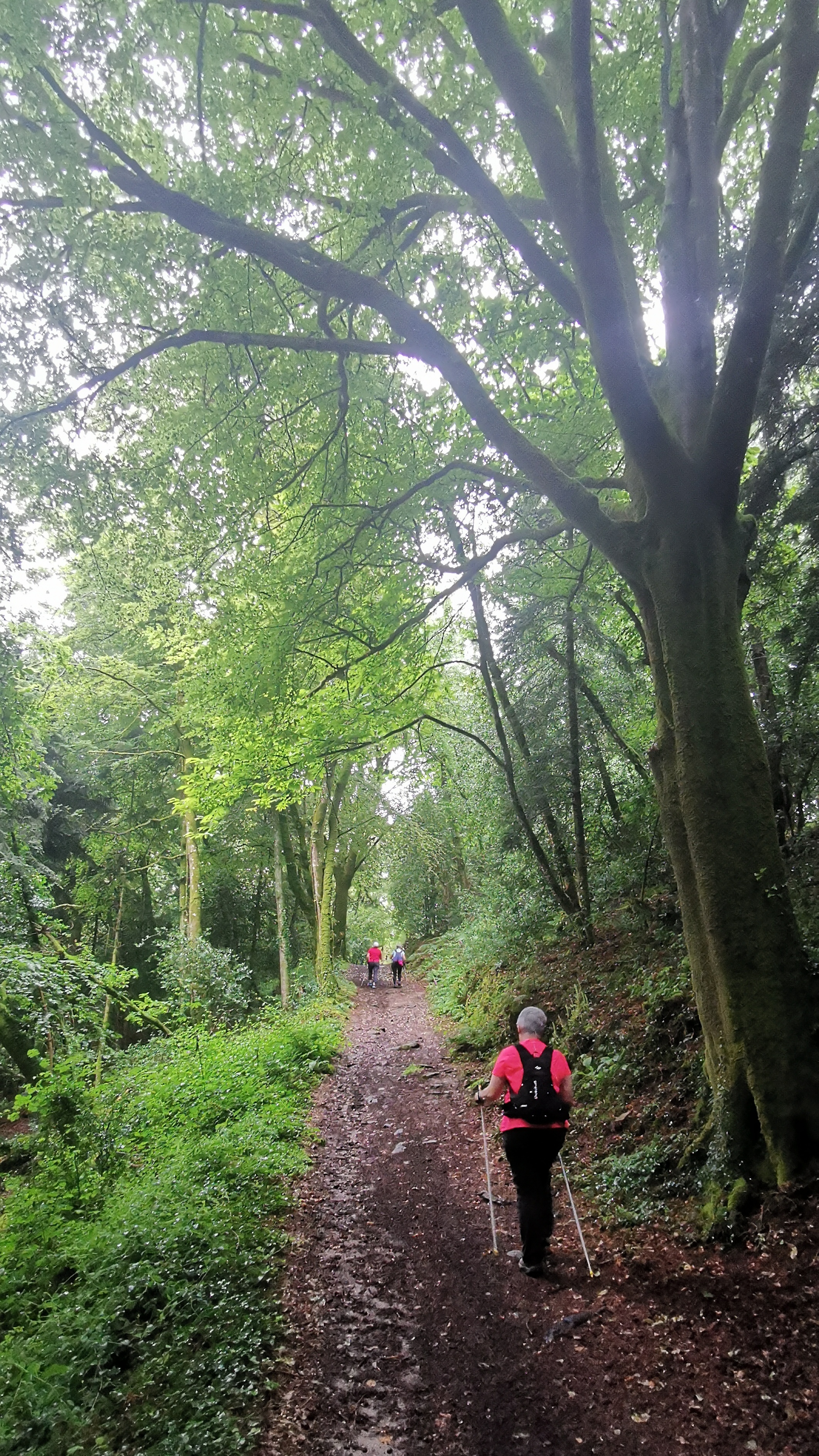 07-IMG_20210617_100000_1