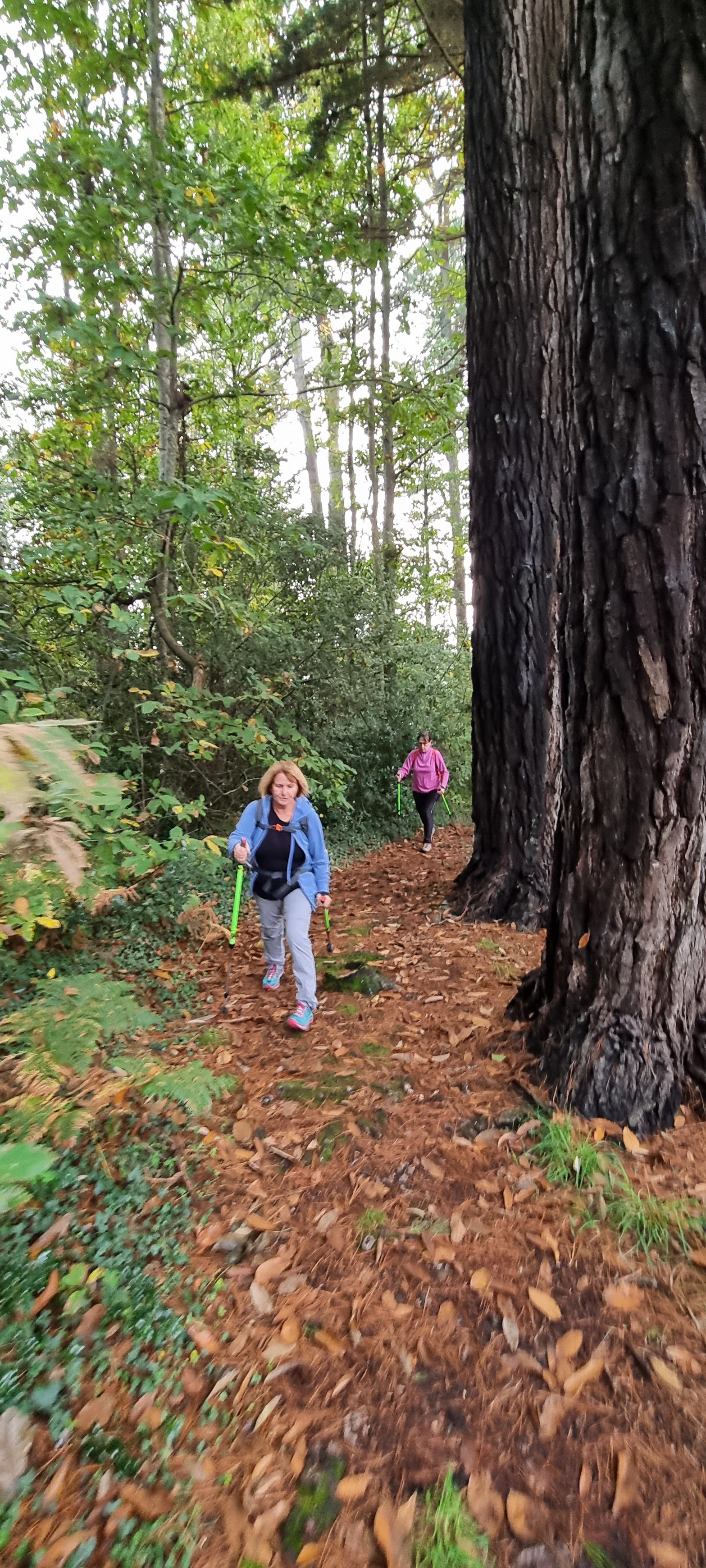 22-20211019_180702(0)