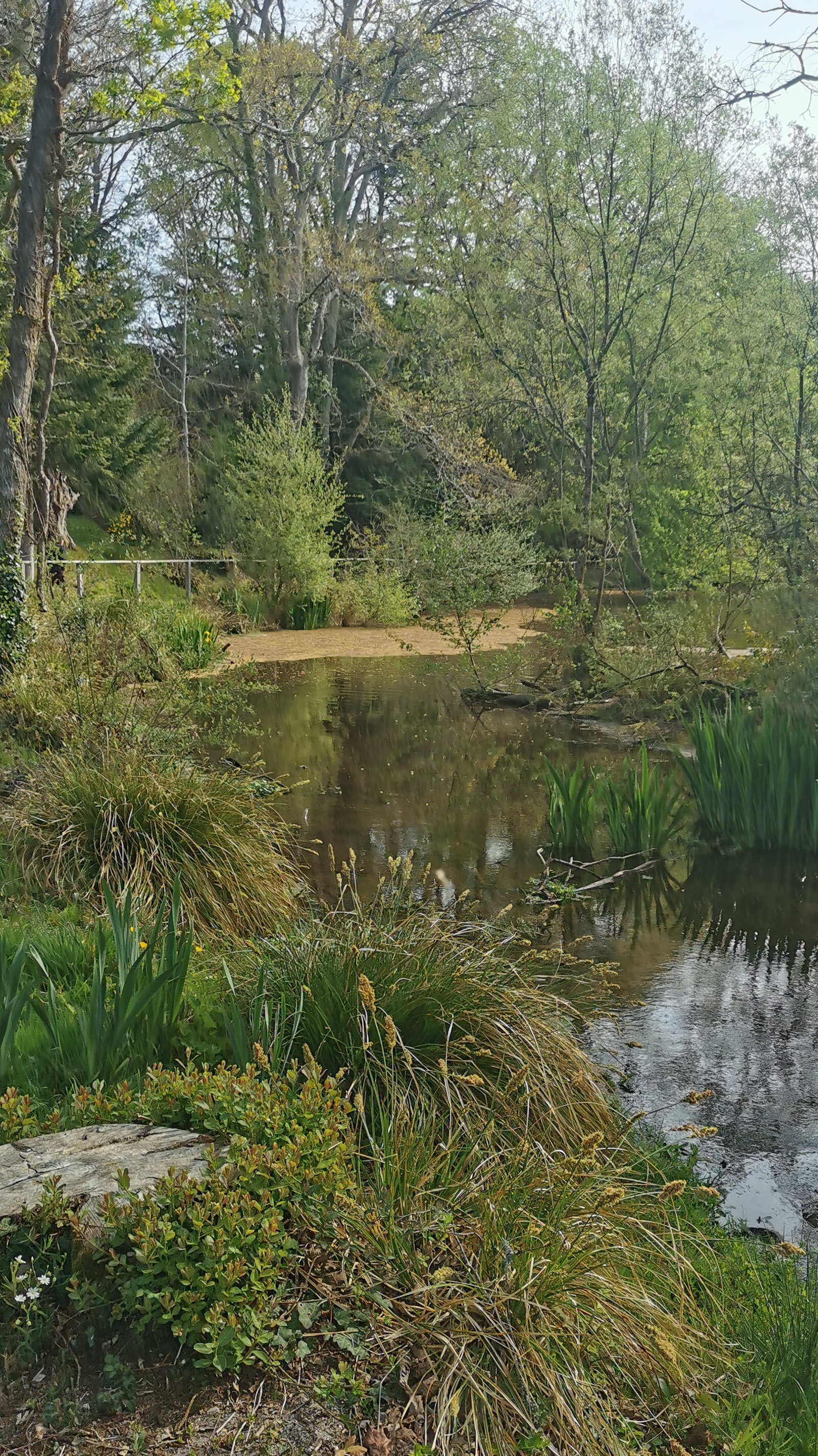 62-IMG_20210425_105923