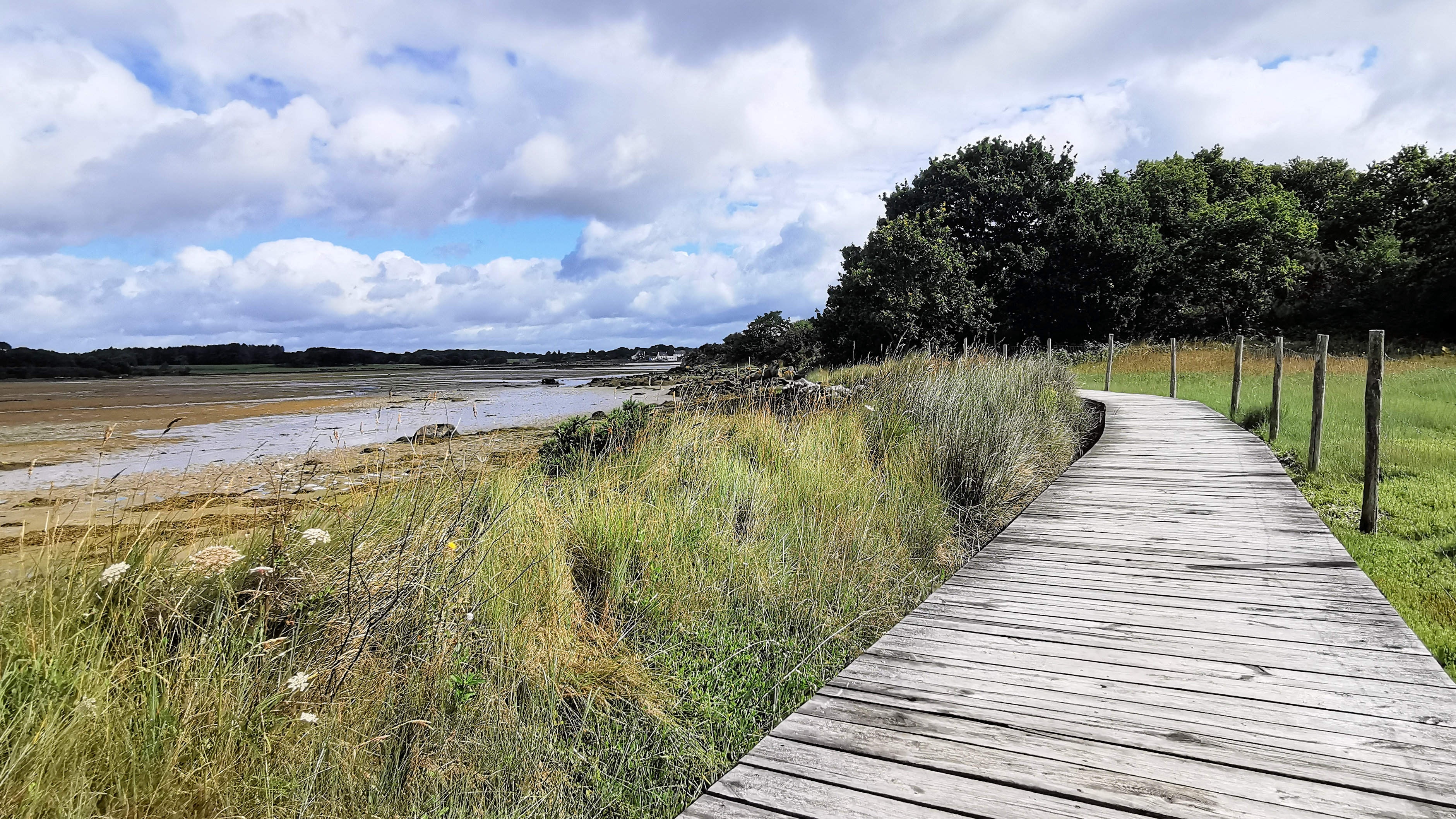 080-IMG_20210704_104158