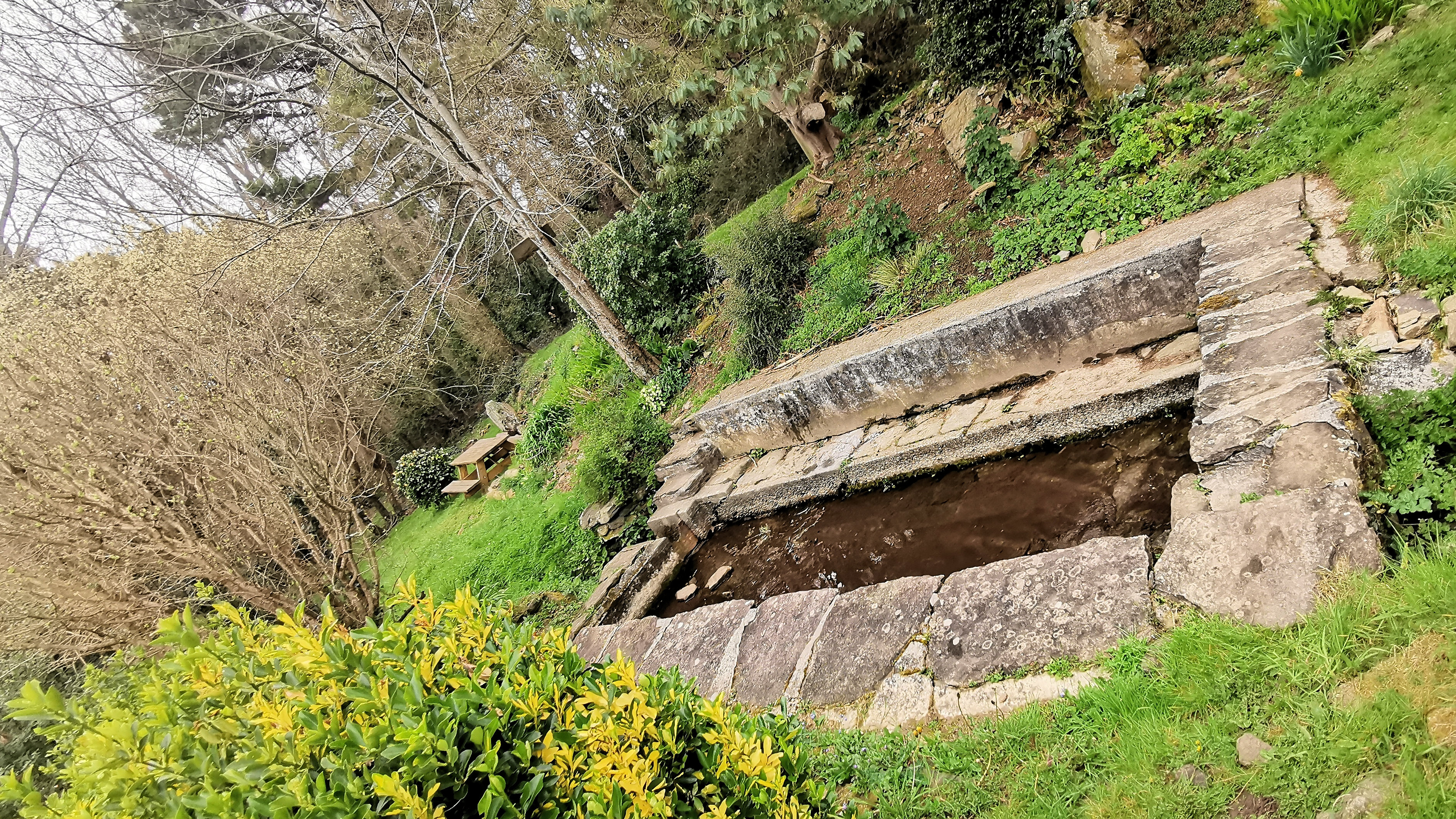 43-IMG_20210321_102121_1