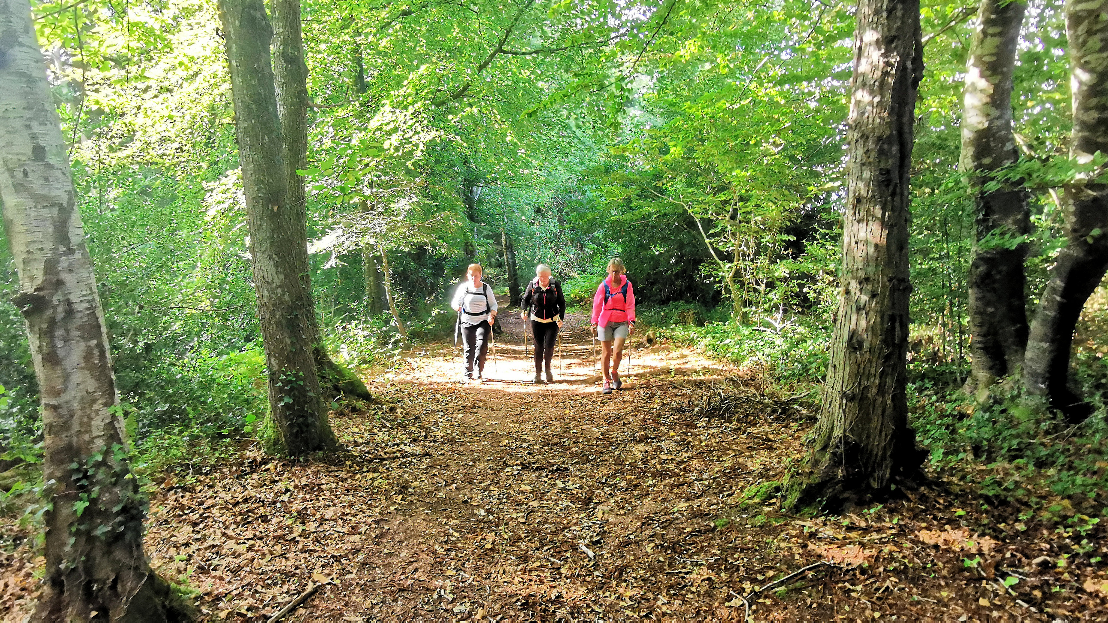 003-IMG_20210816_100204