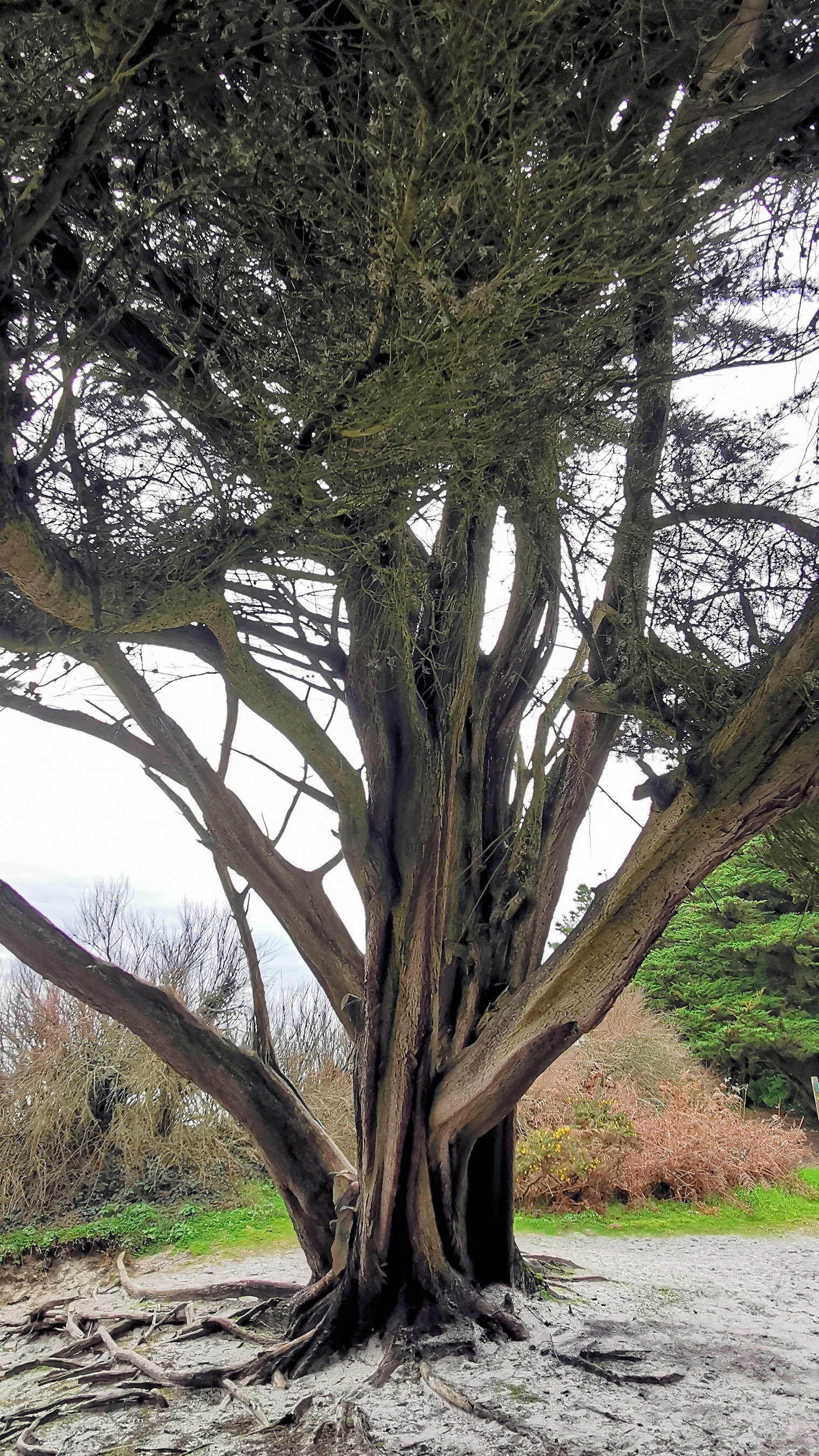 18-IMG_20210208_110219