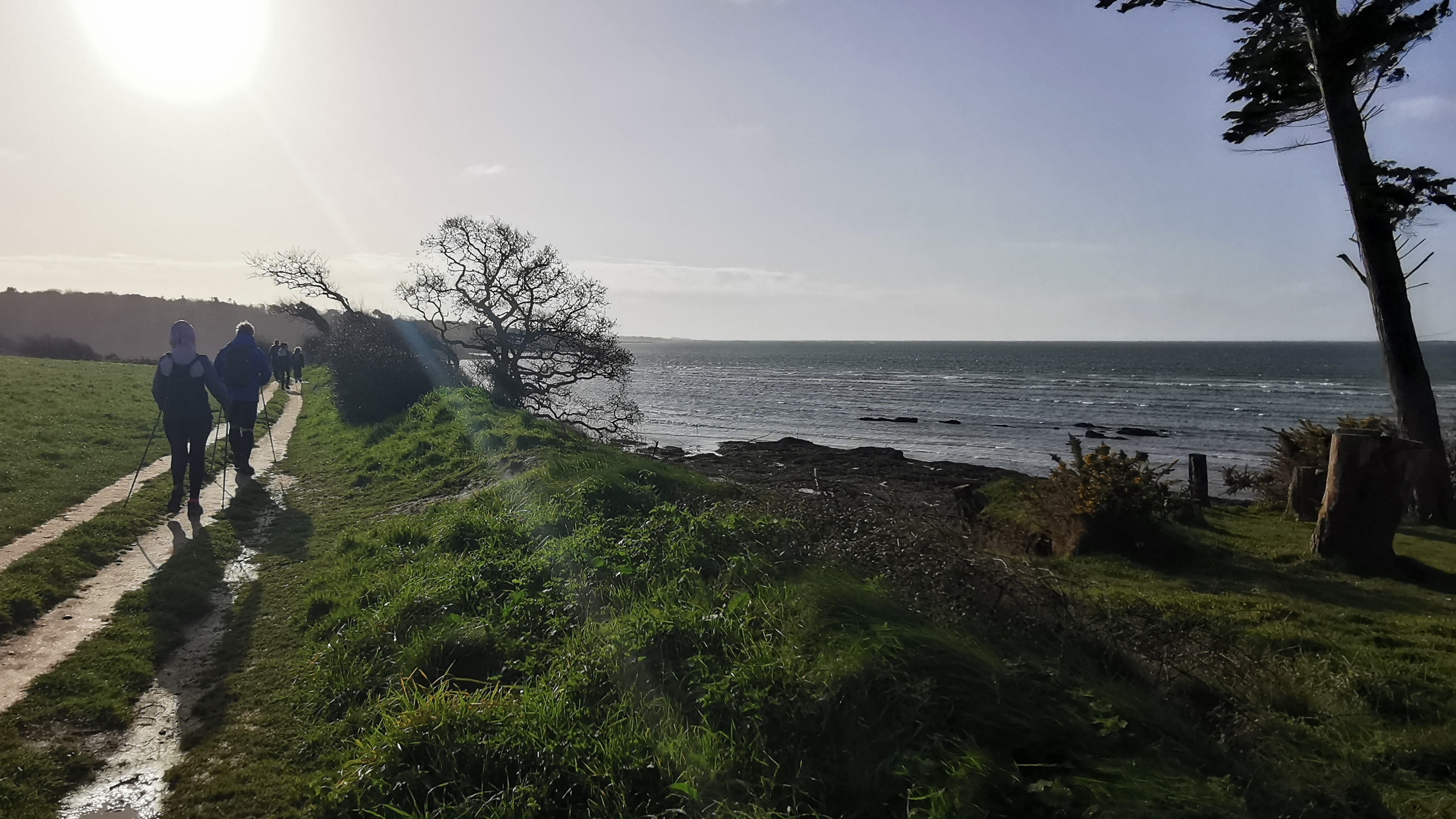 02-IMG_20210311_094004_1