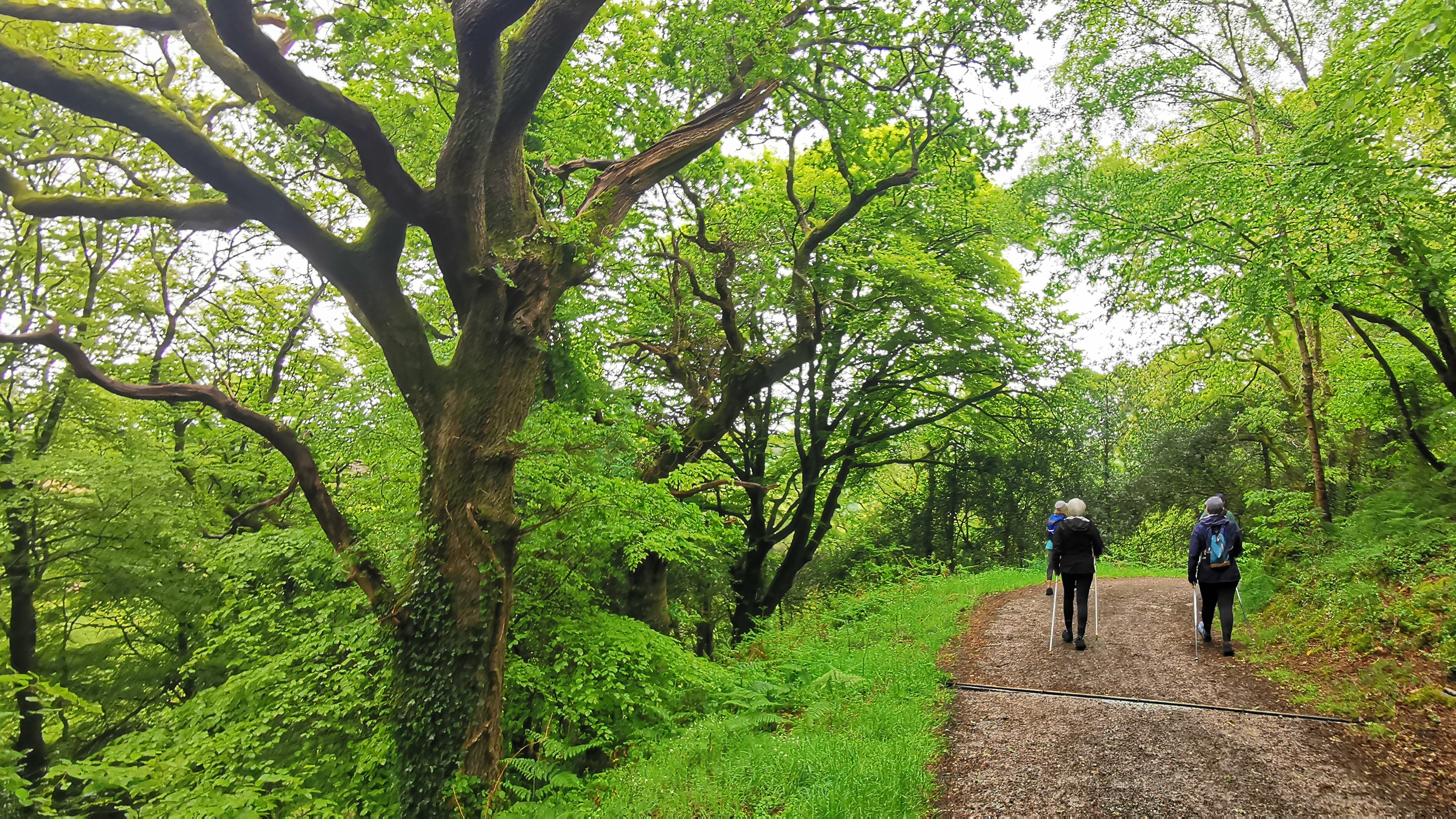 087-IMG_20210513_110031_1