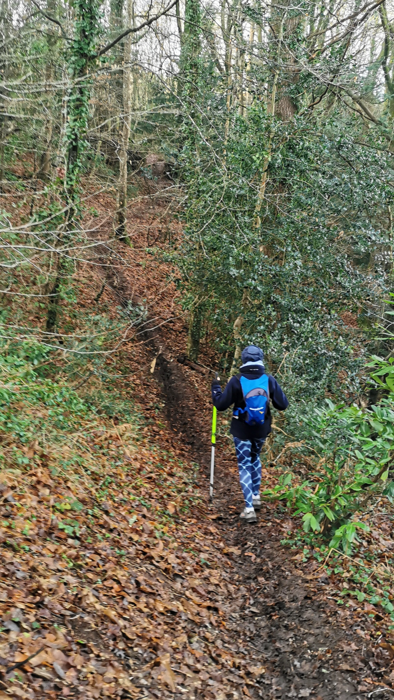 07-IMG_20210105_104410_1