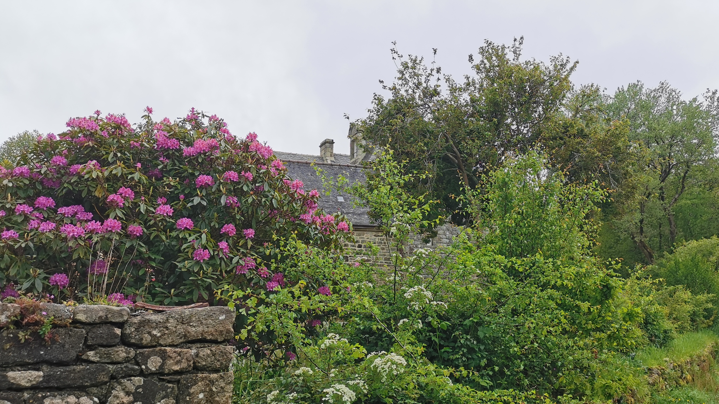 76-IMG_20210508_114138