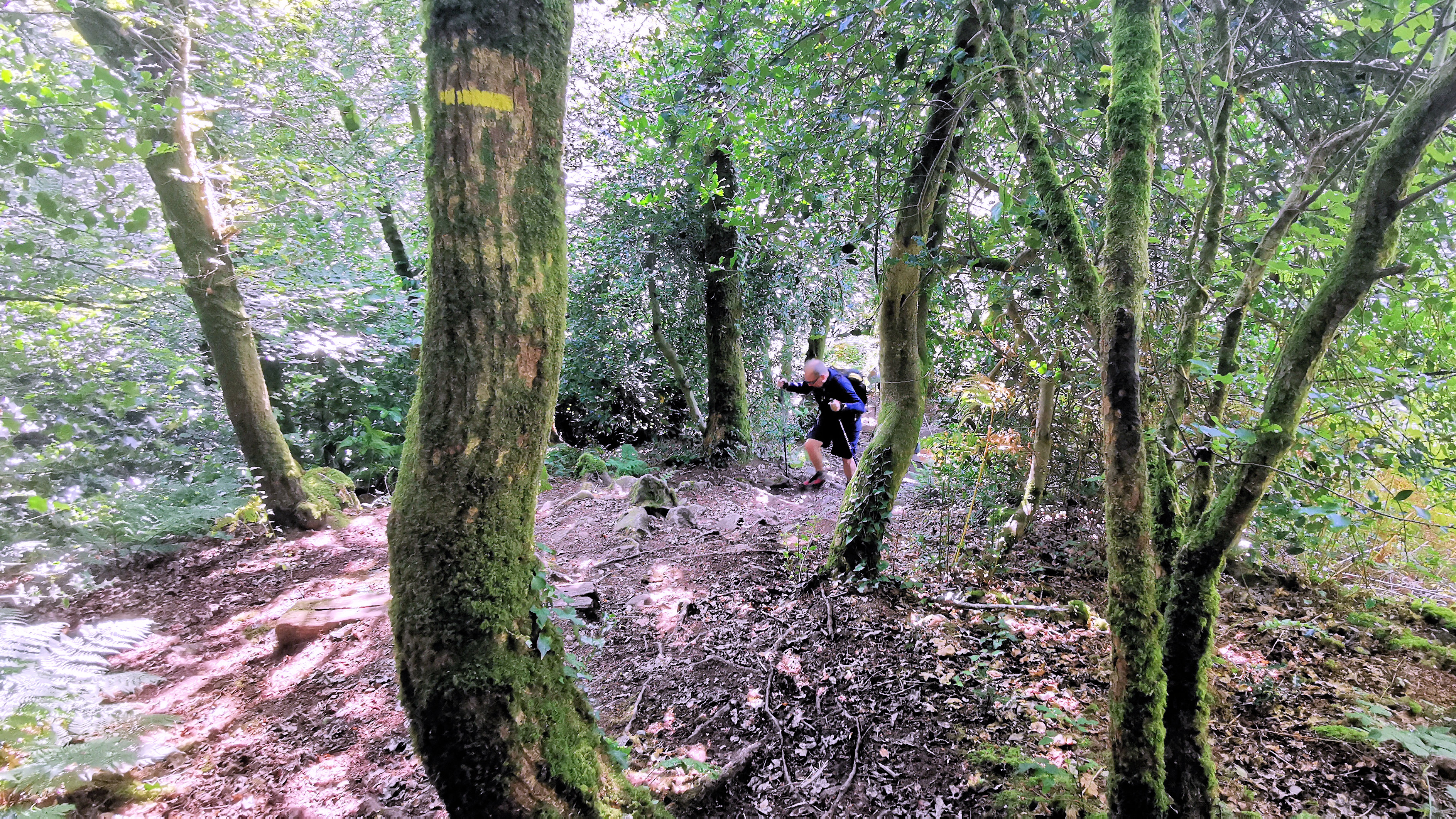 021-IMG_20210816_112350