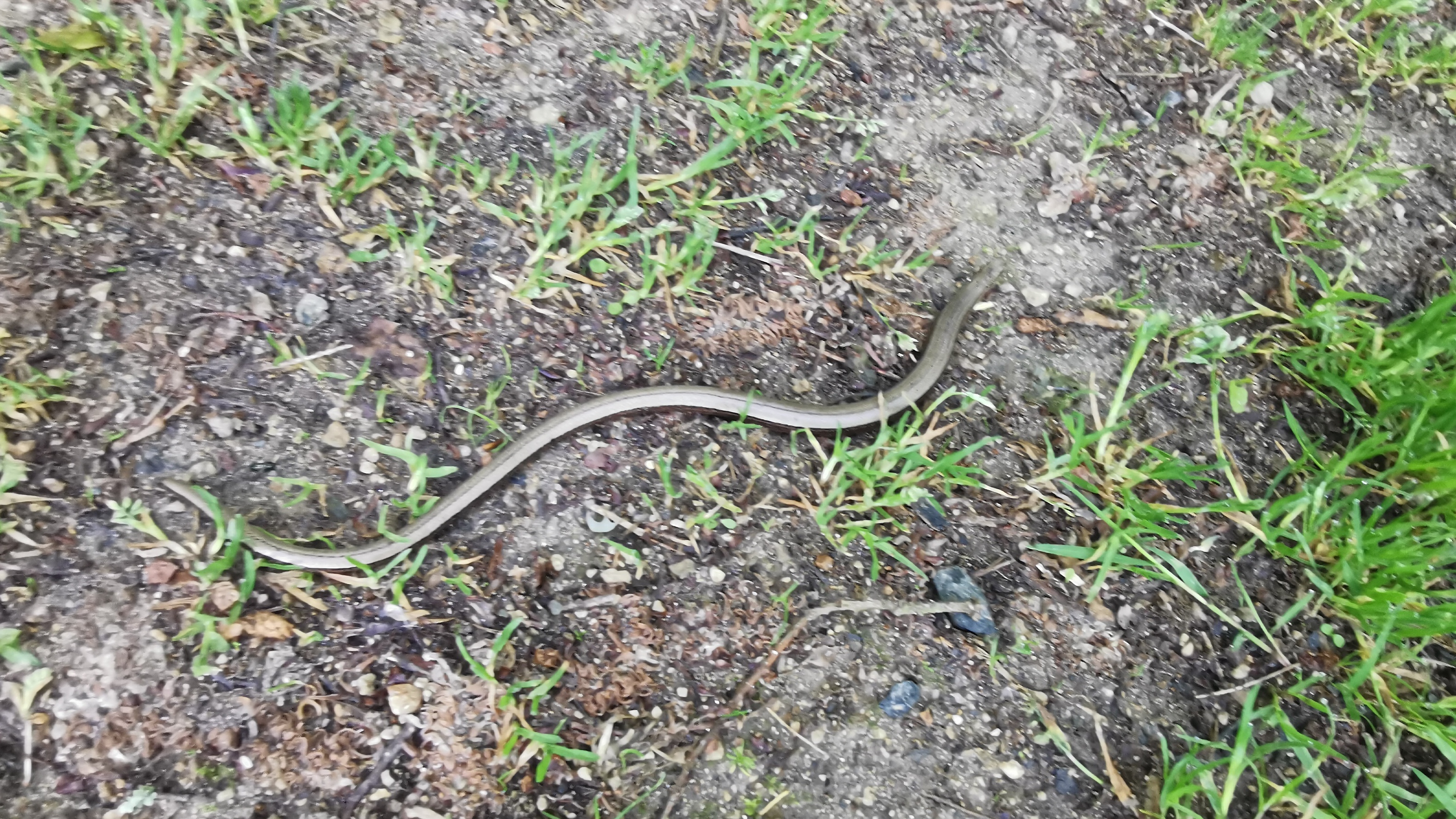 02-IMG_20210531_094812